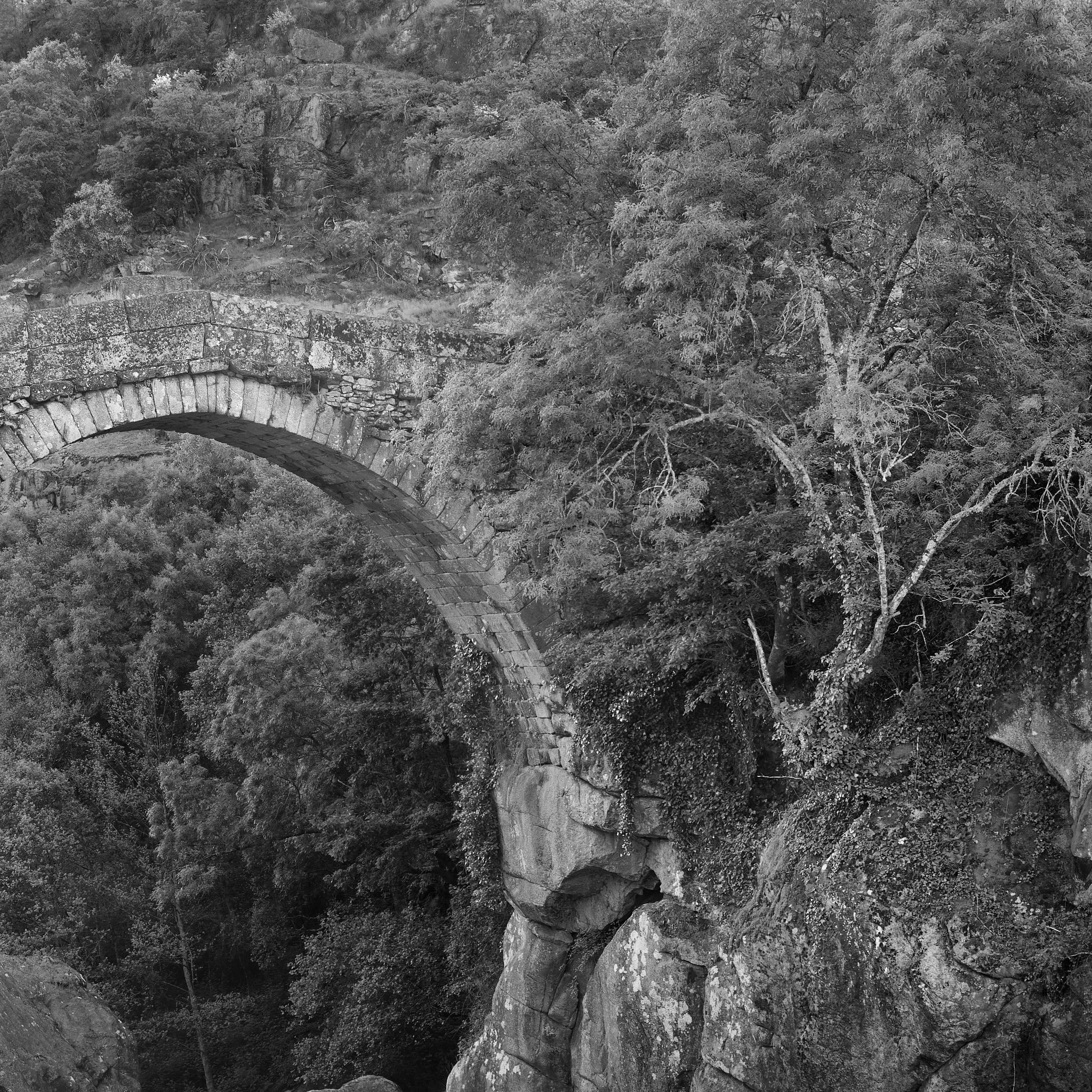 _DSF0085 Braga.jpg