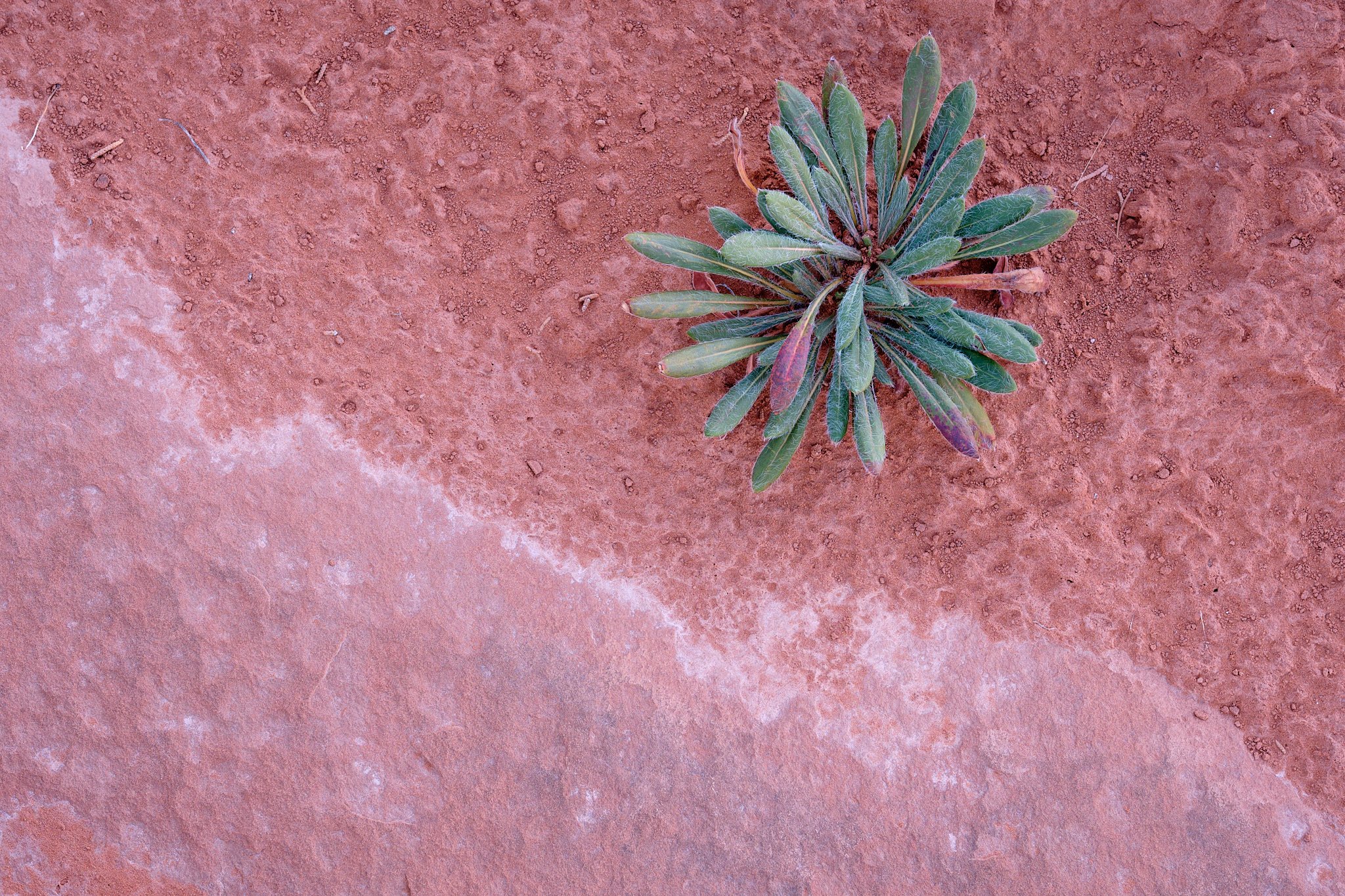 _DSF09772019 Fall Trip.jpg