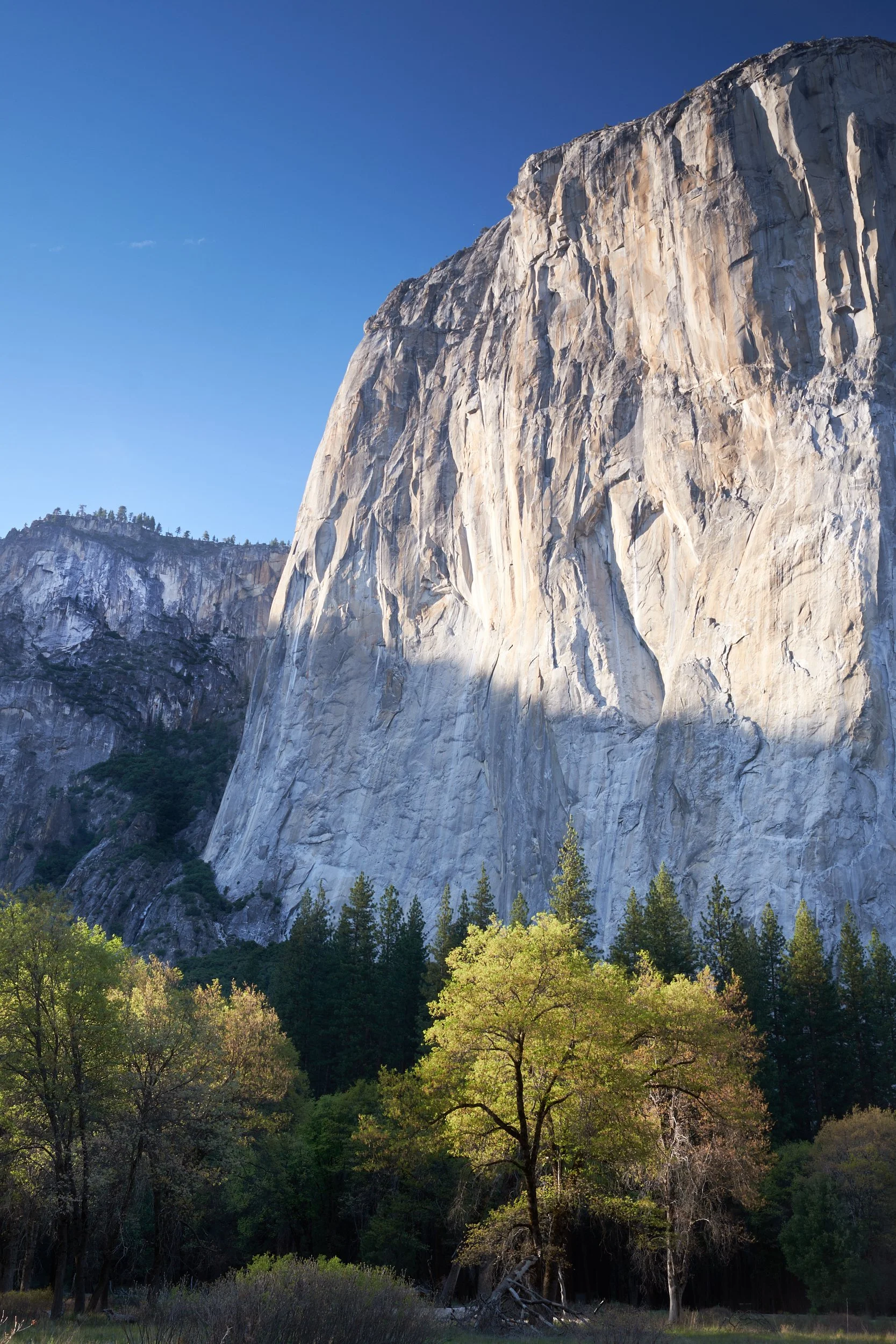 2015-04-29_18-23-08_Yosemite.jpg