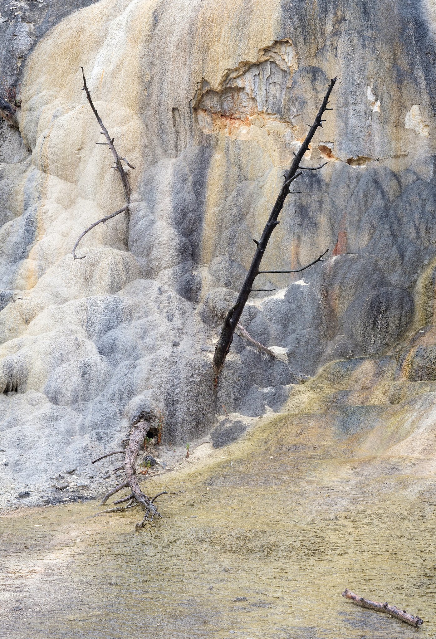 2017 - -45-20170921_Yellowstone_0467-IridientEdit.jpg