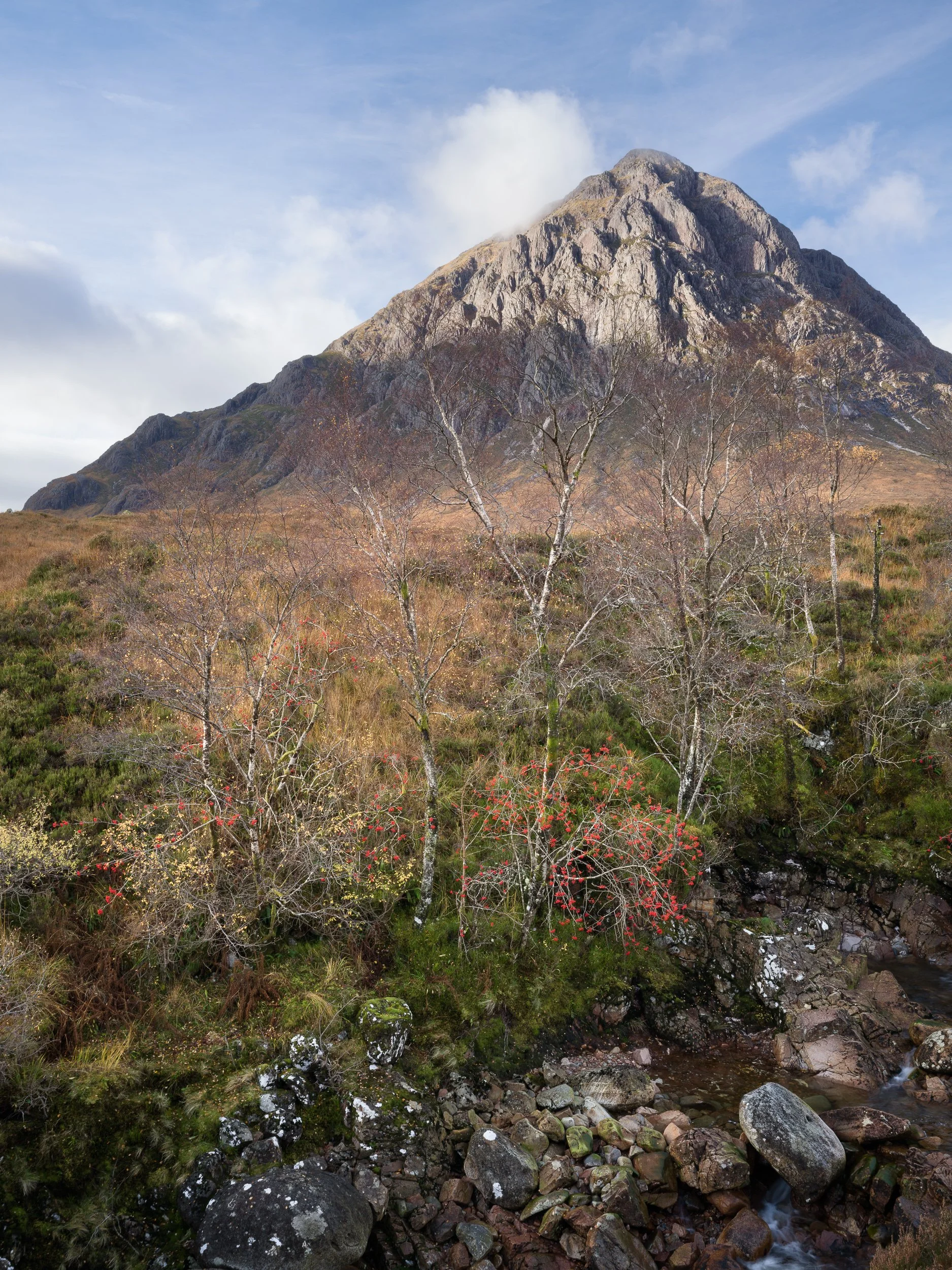 20241030-111514-HasselbladX2D 100C_Blog.jpg