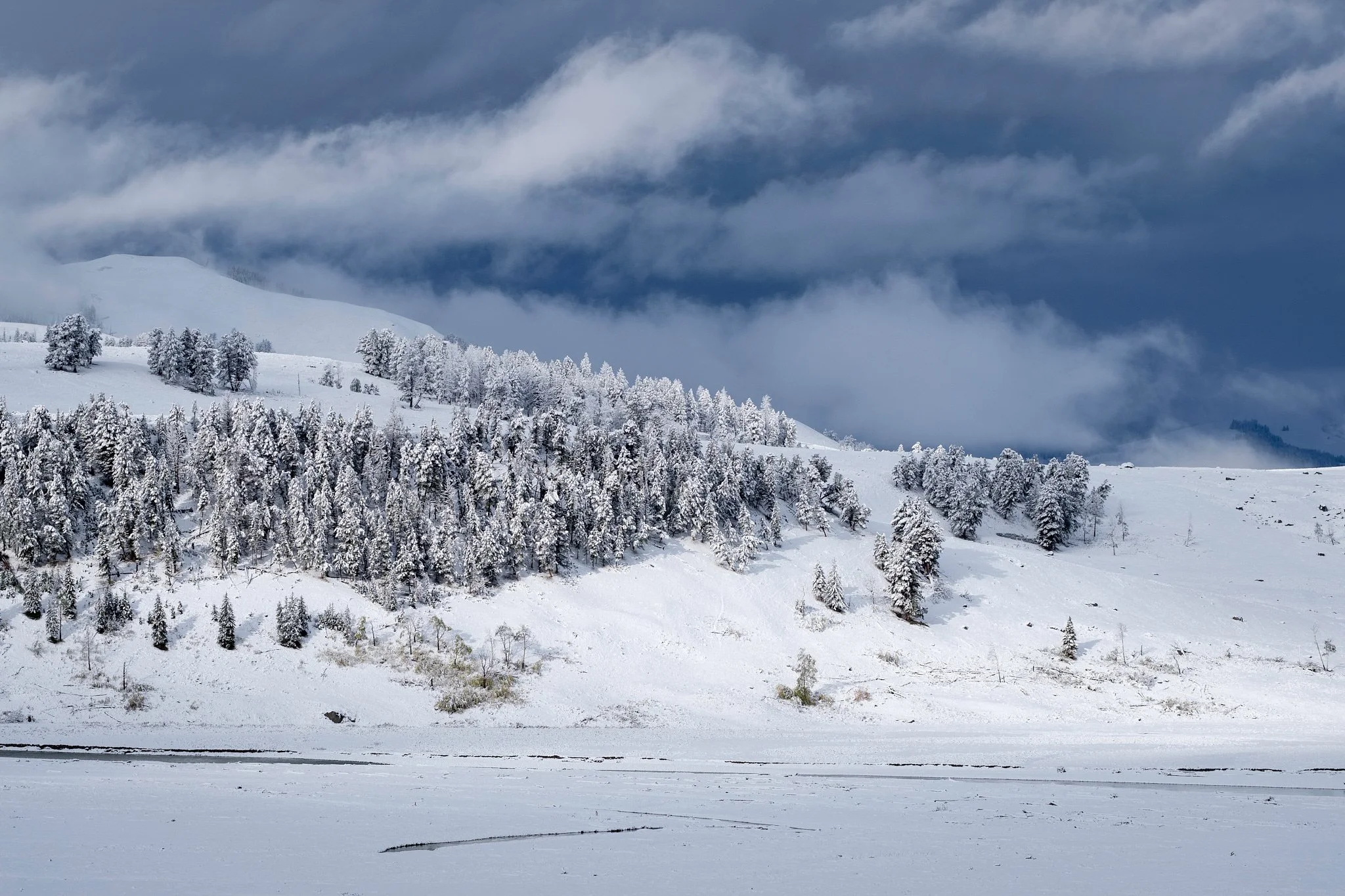 Yosemite 2015-48-20170922_Yellowstone_0577-IridientEdit.jpg
