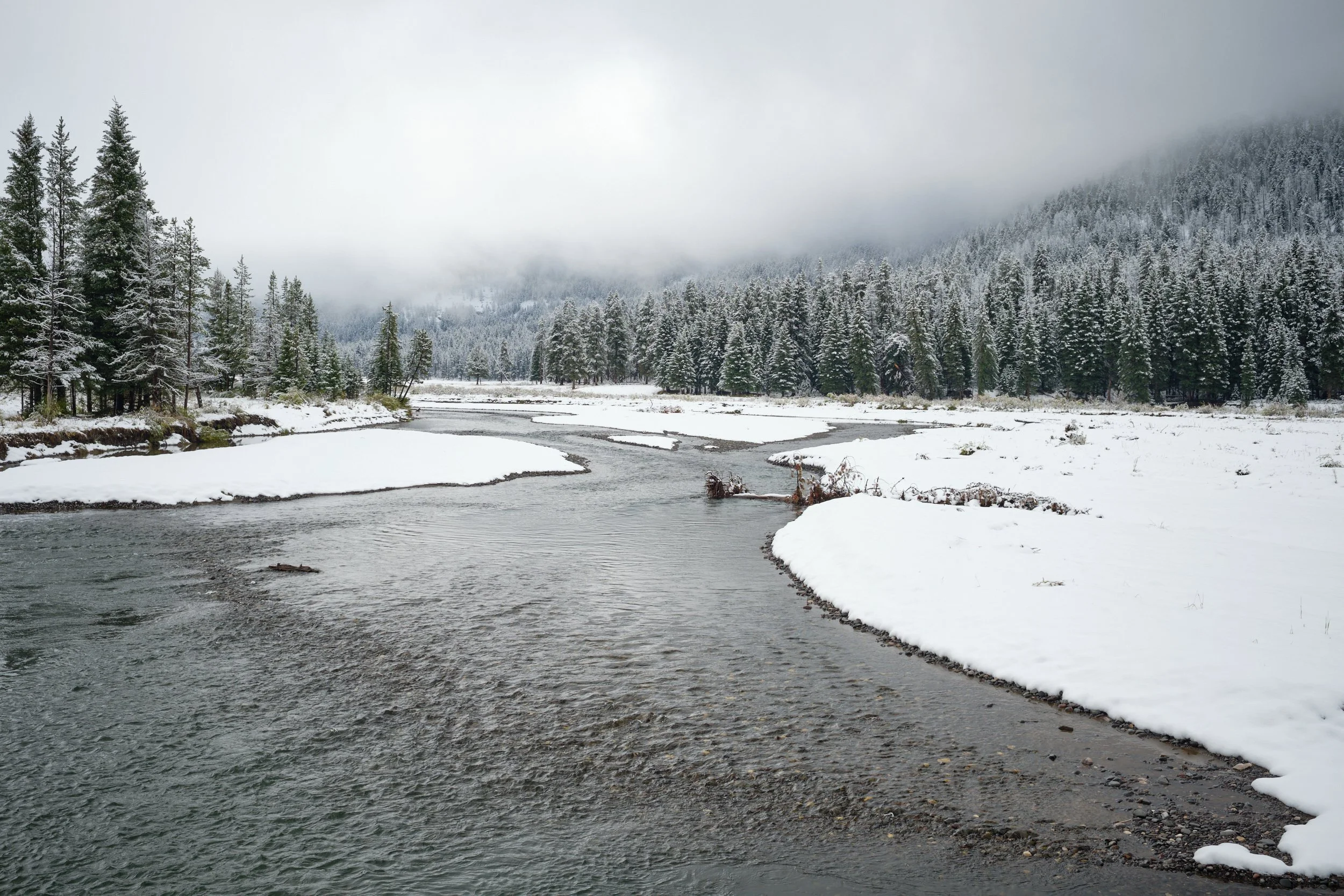 2017 Yellowstone