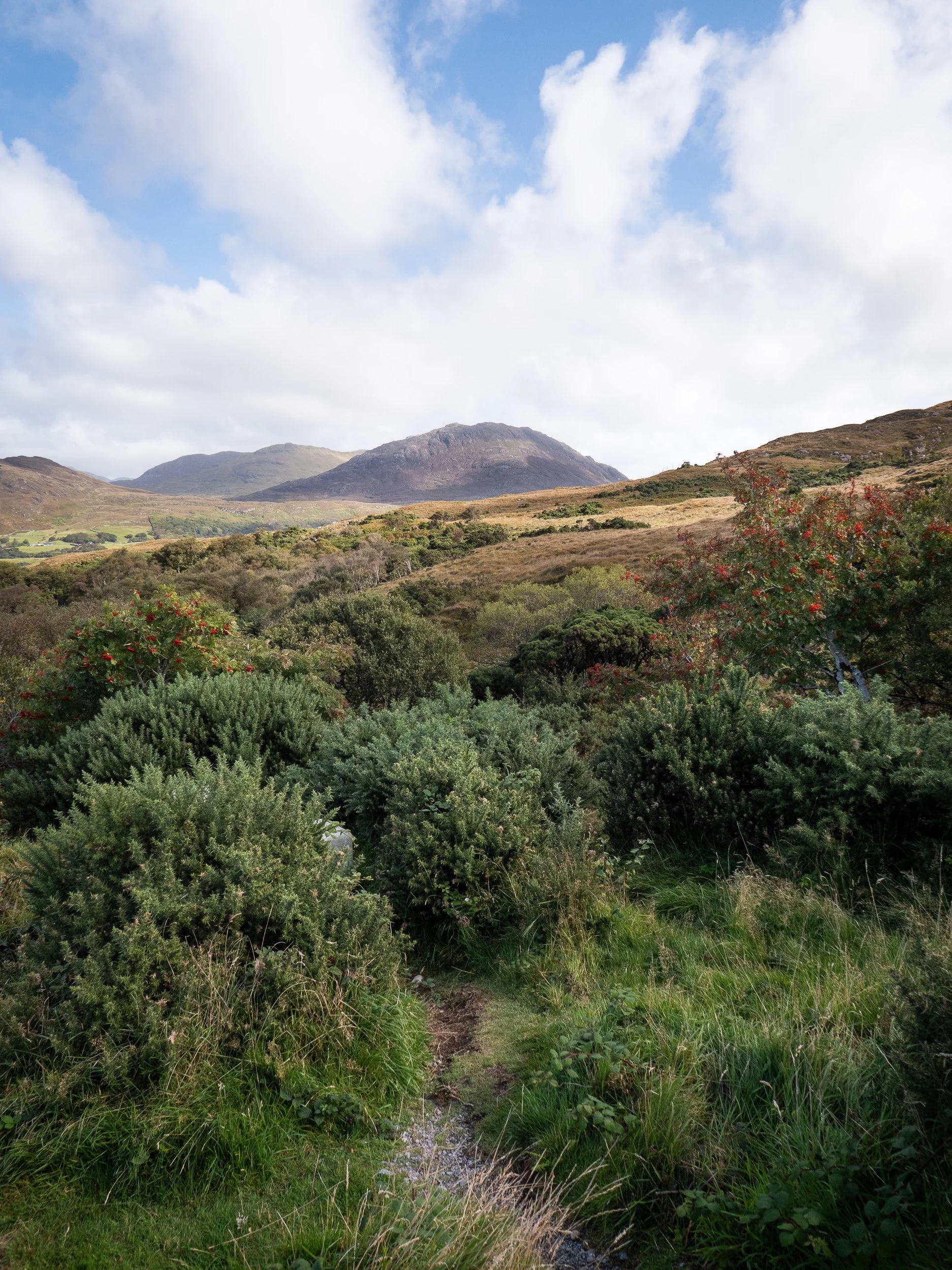 September, Ireland