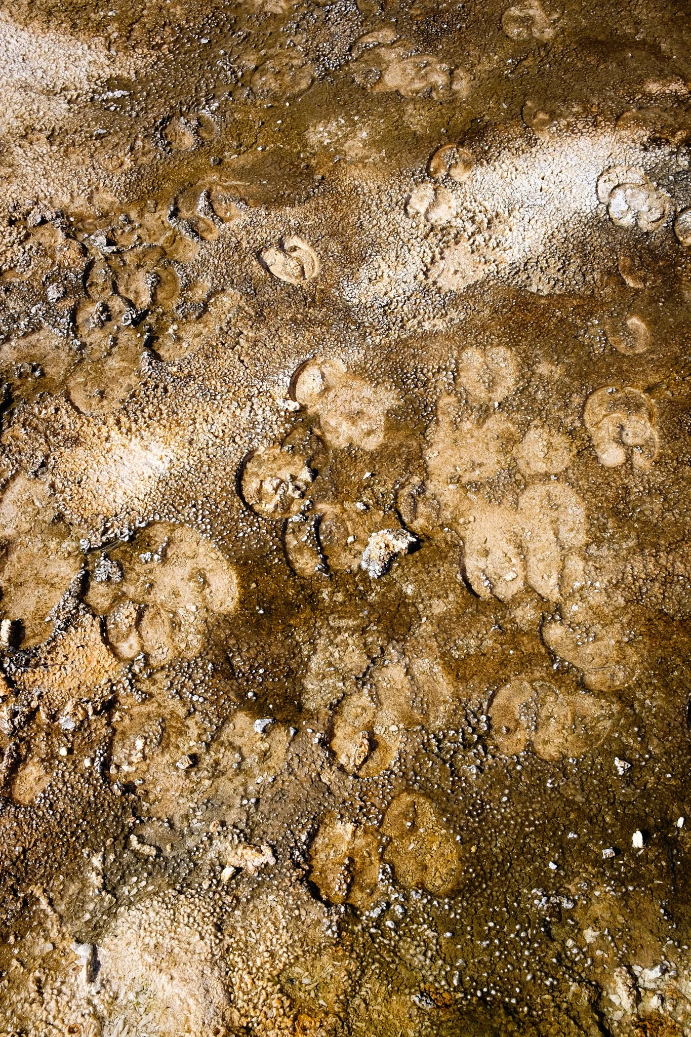 _Yellowstone 2014-57-20140904_Yellowstone_0104.jpg