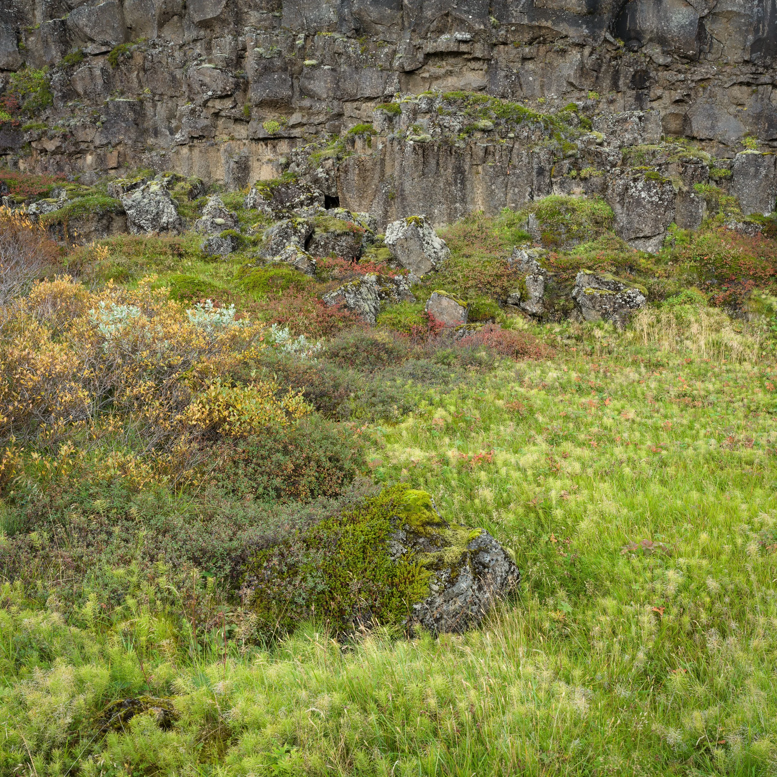 20250915-090720-HasselbladX2D 100C-B0002220_Blog.jpg
