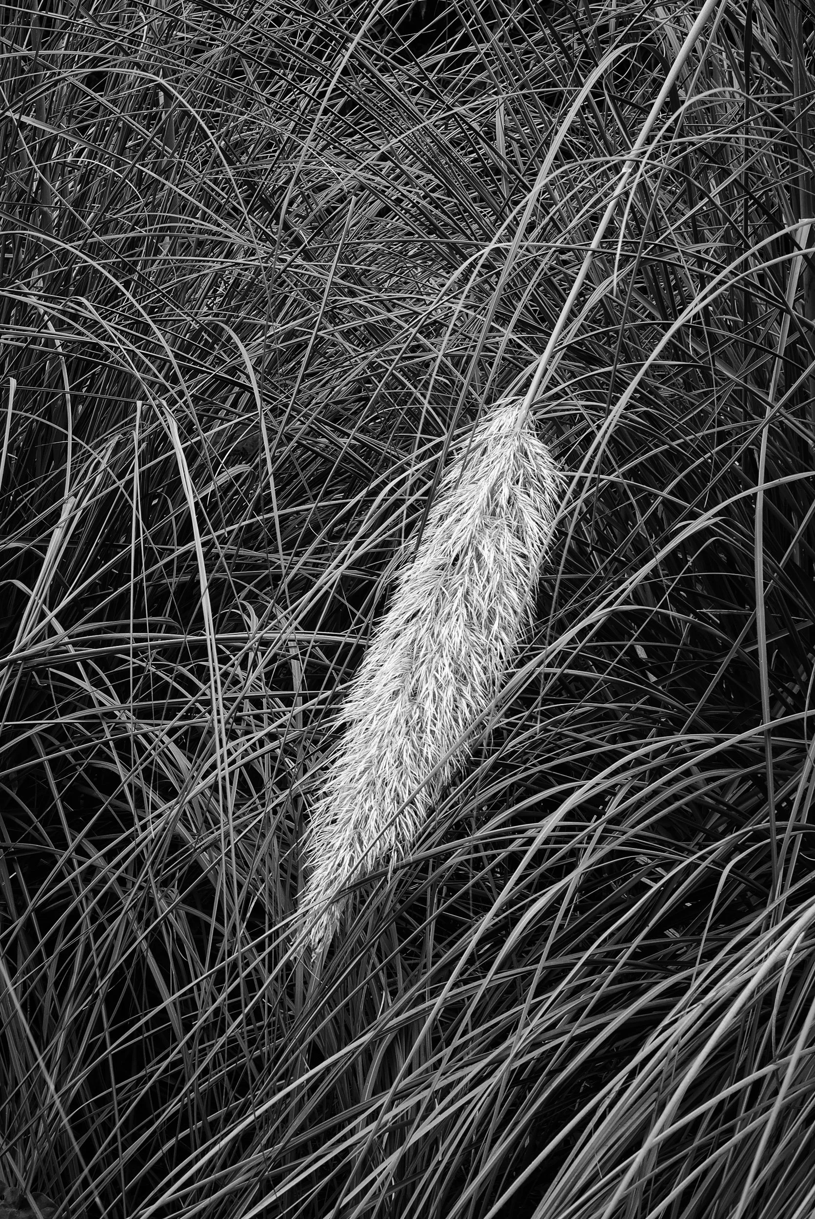 20221029-094516-LeicaLEICA Q2 MONO-Masters_Blog.jpg