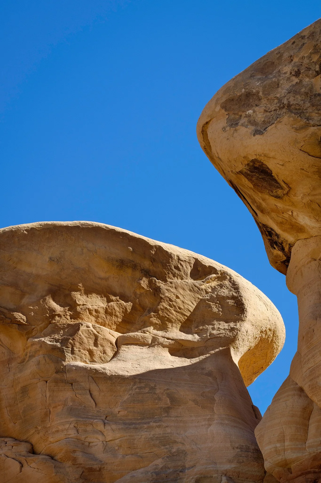 Utah 2015-25-20151013_Utah2015-Day_3-Escalante_0068.jpg