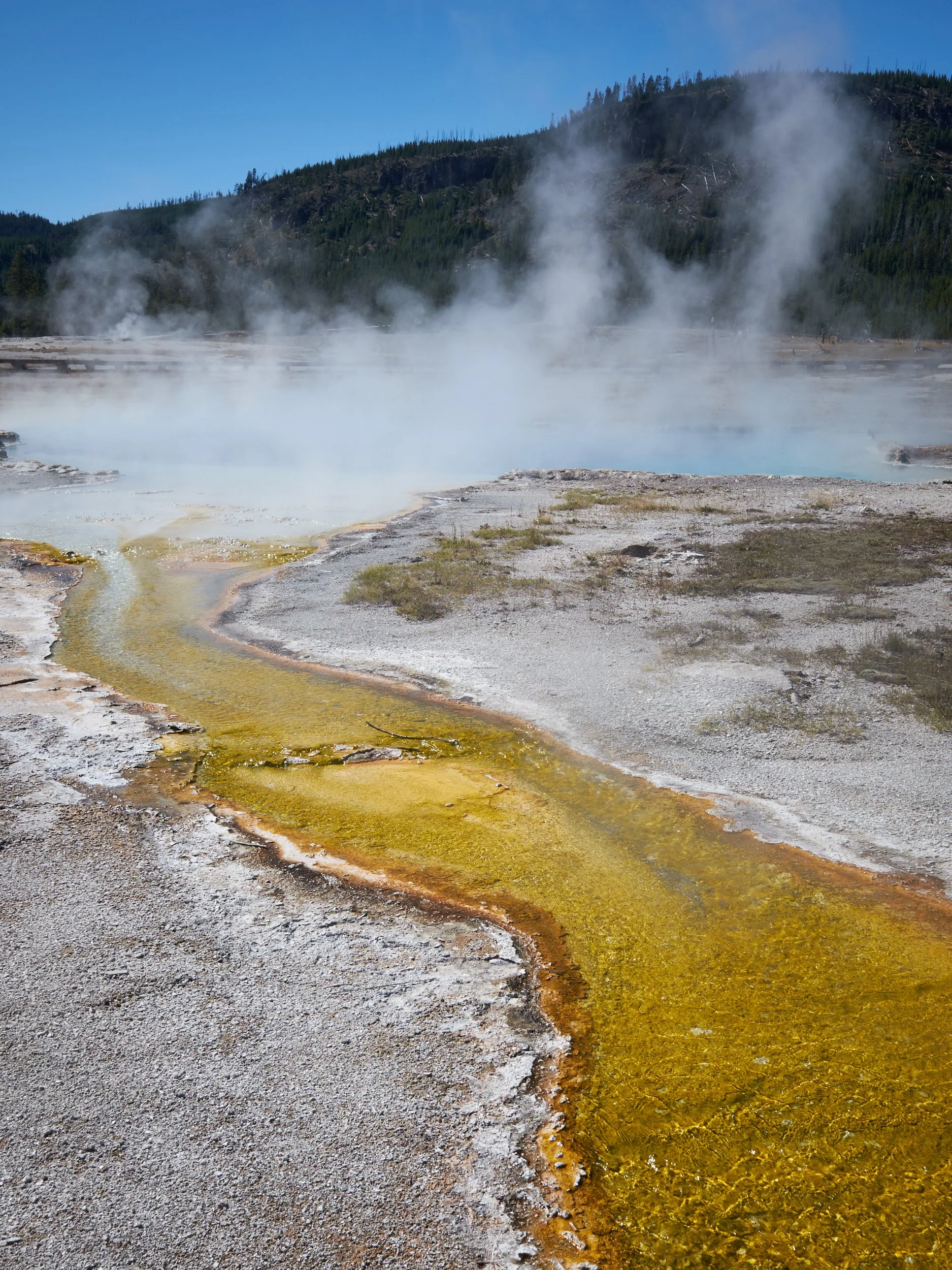 2014-09-04_15-28-32_Yellowstone.jpg