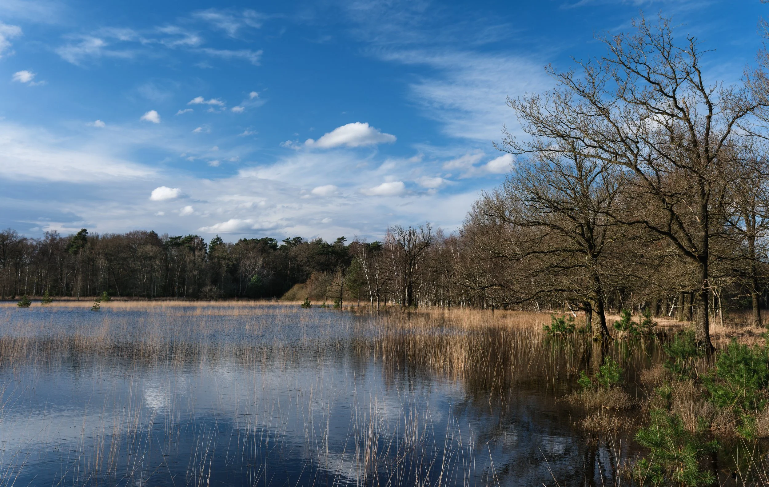 March, Leersumse Plassen, Utrecht NL