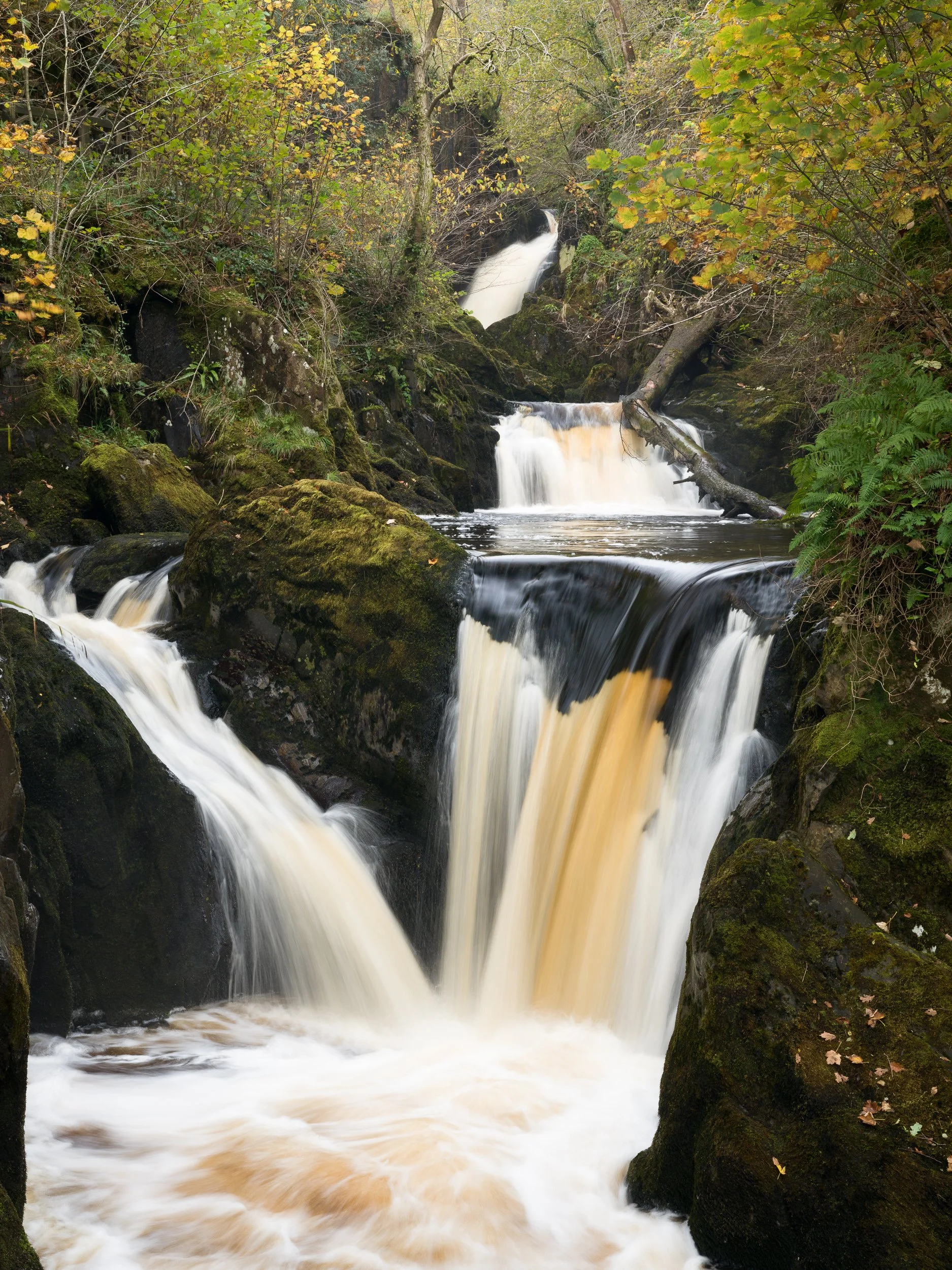 20241023-124326-HasselbladX2D 100C_Blog.jpg