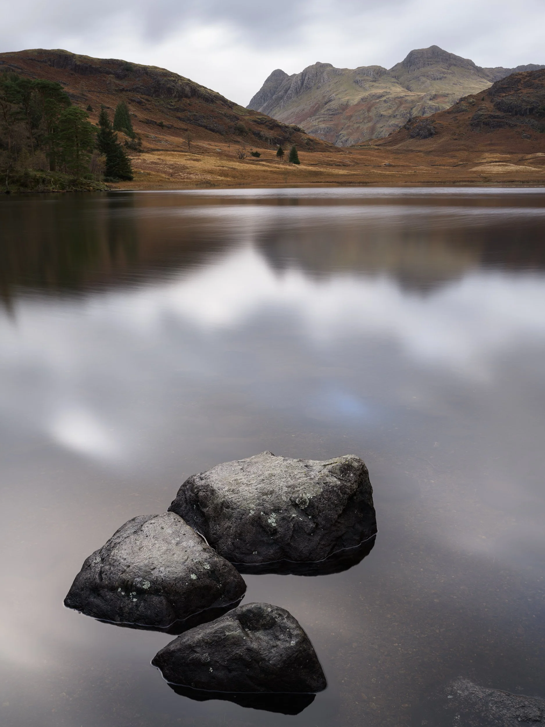 20241022-104952-HasselbladX2D 100C_Blog.jpg