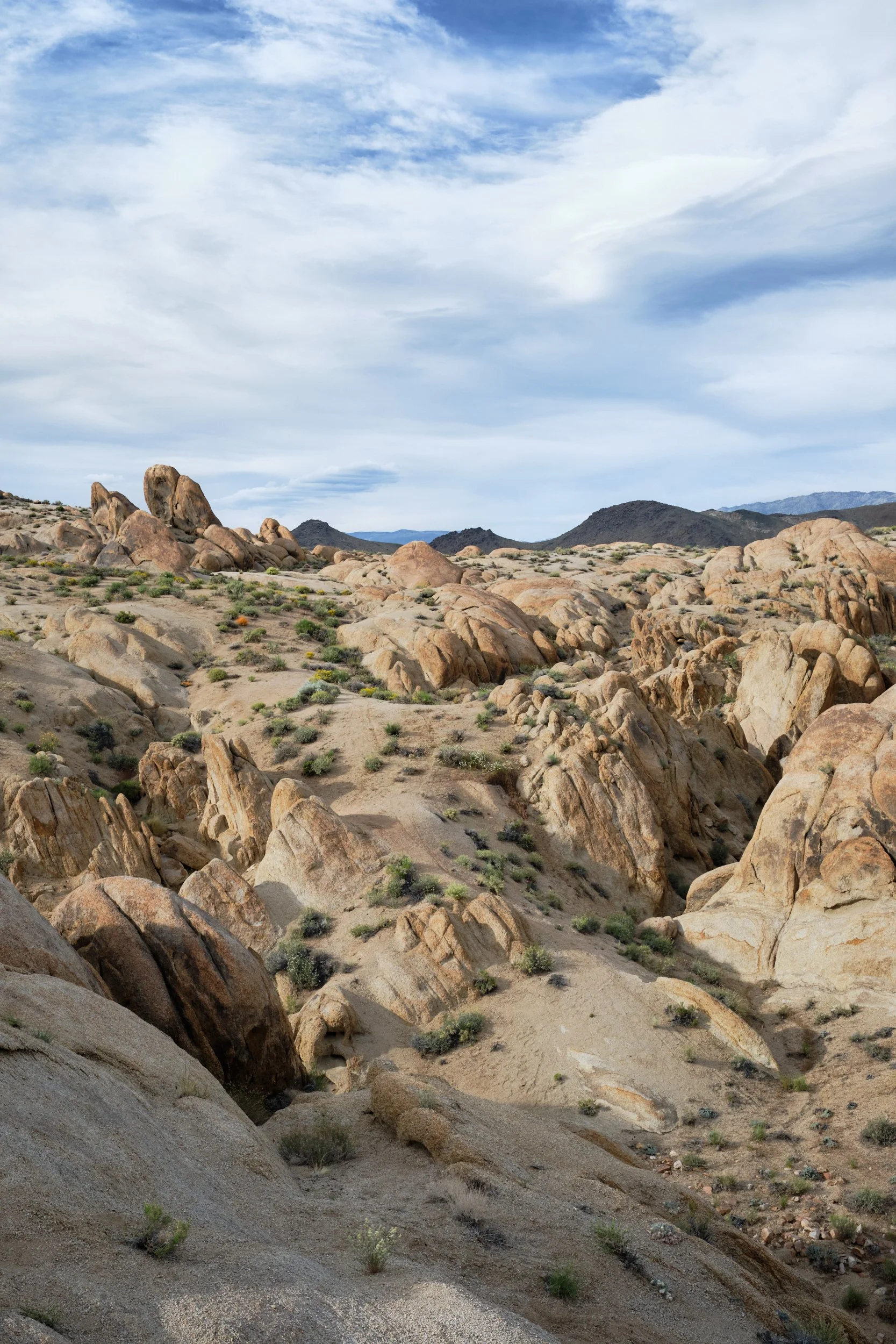 2017-05-05_17-43-54_AlabamaHills.jpg