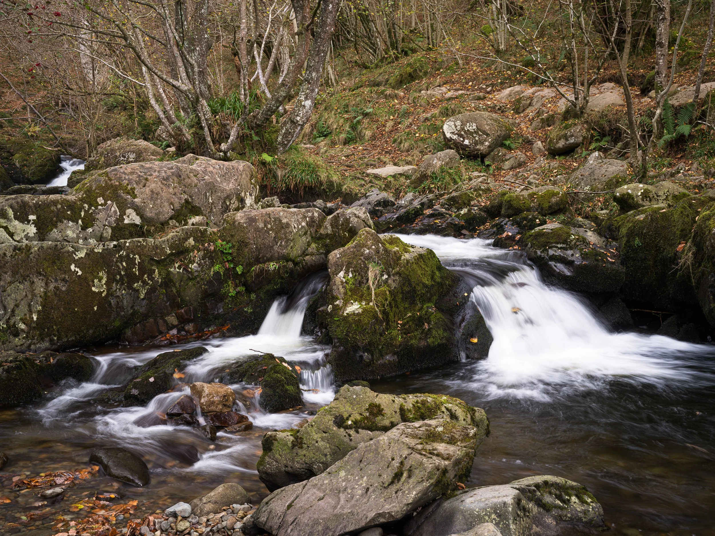 20241107-114200-HasselbladX2D 100C_Blog.jpg