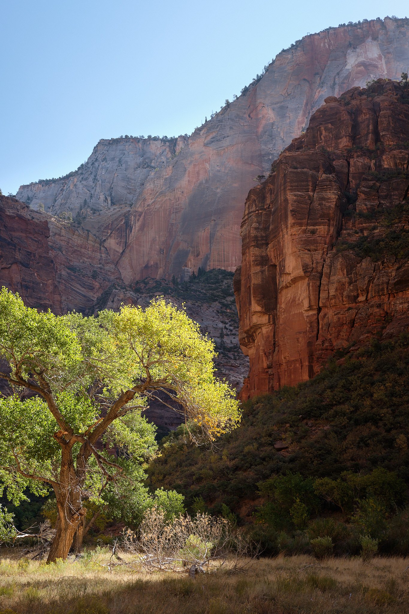 _DSF23692019 Fall Trip.jpg