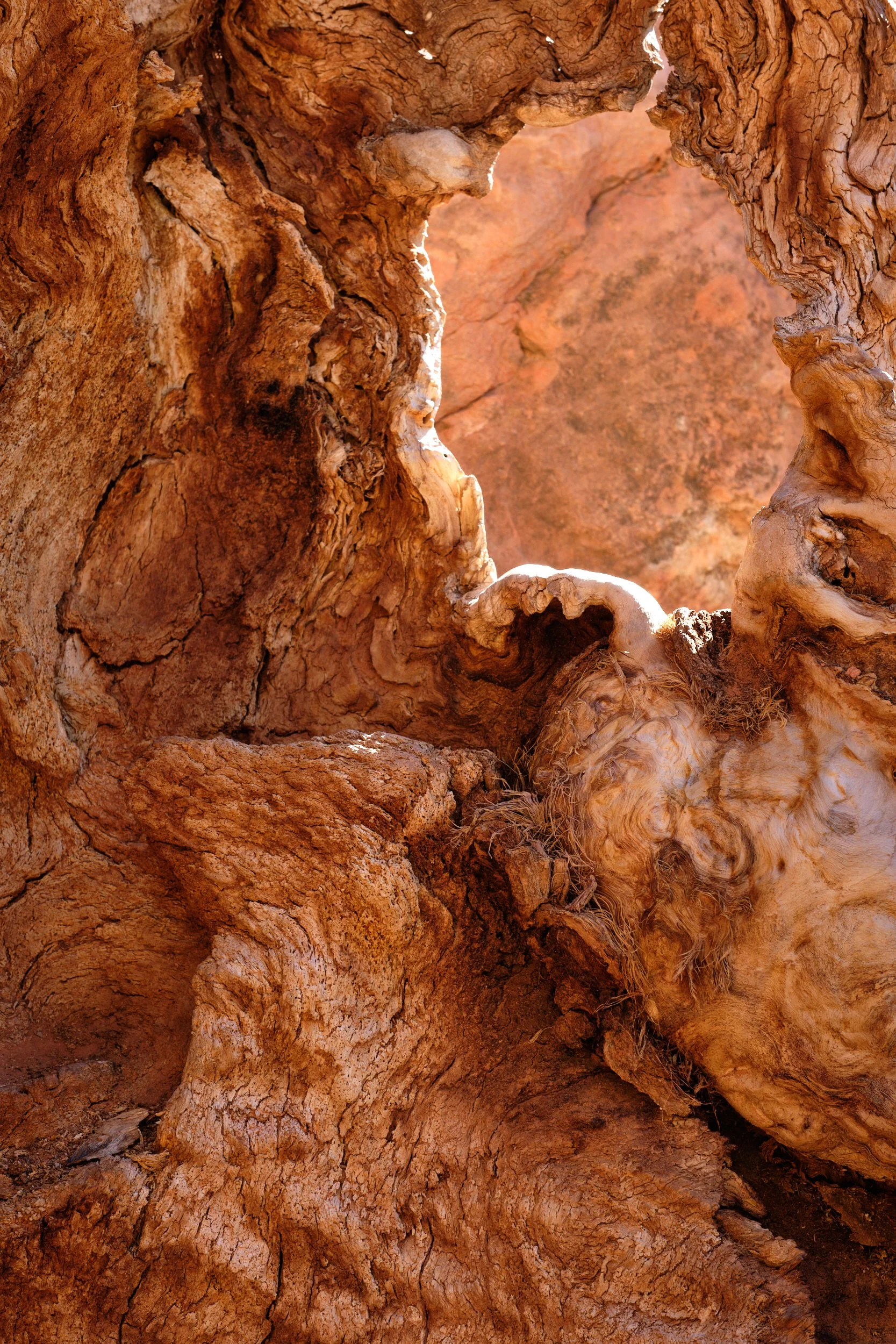 2018-10-14_15-45-07_RedCliffs.jpg
