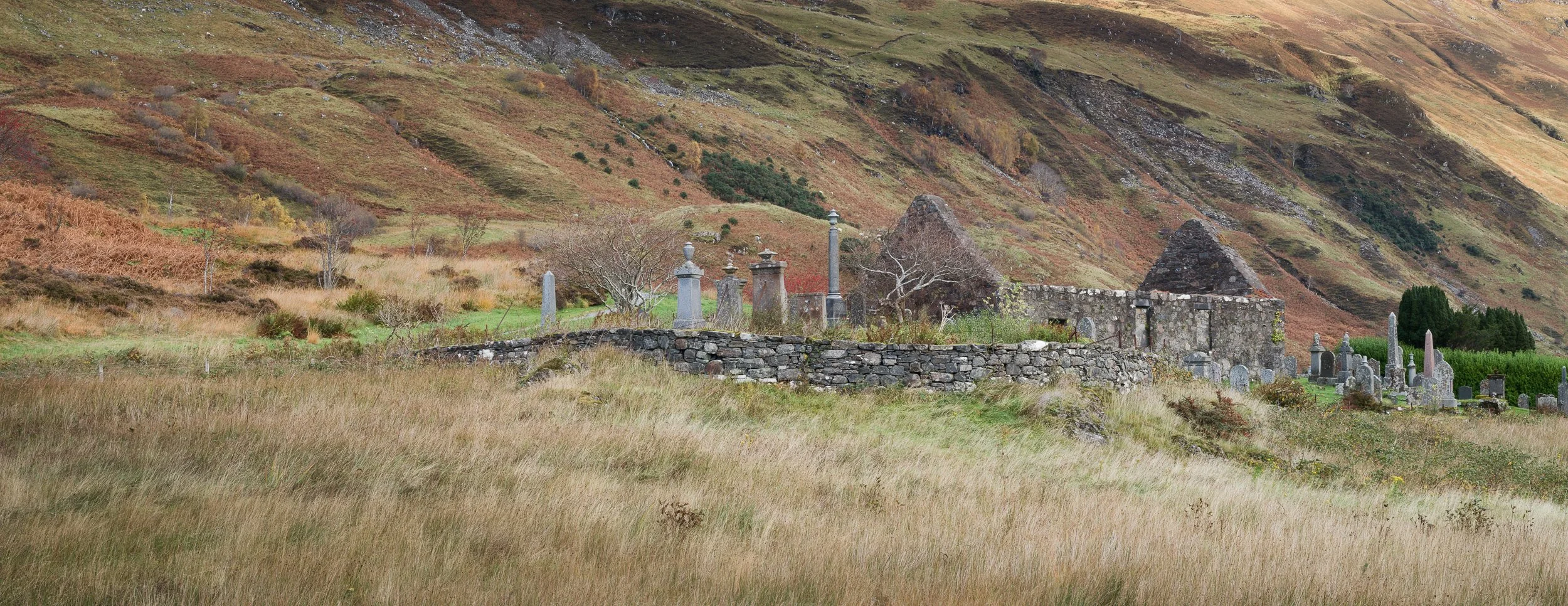 20241029-093019-HasselbladX2D 100C_Blog.jpg