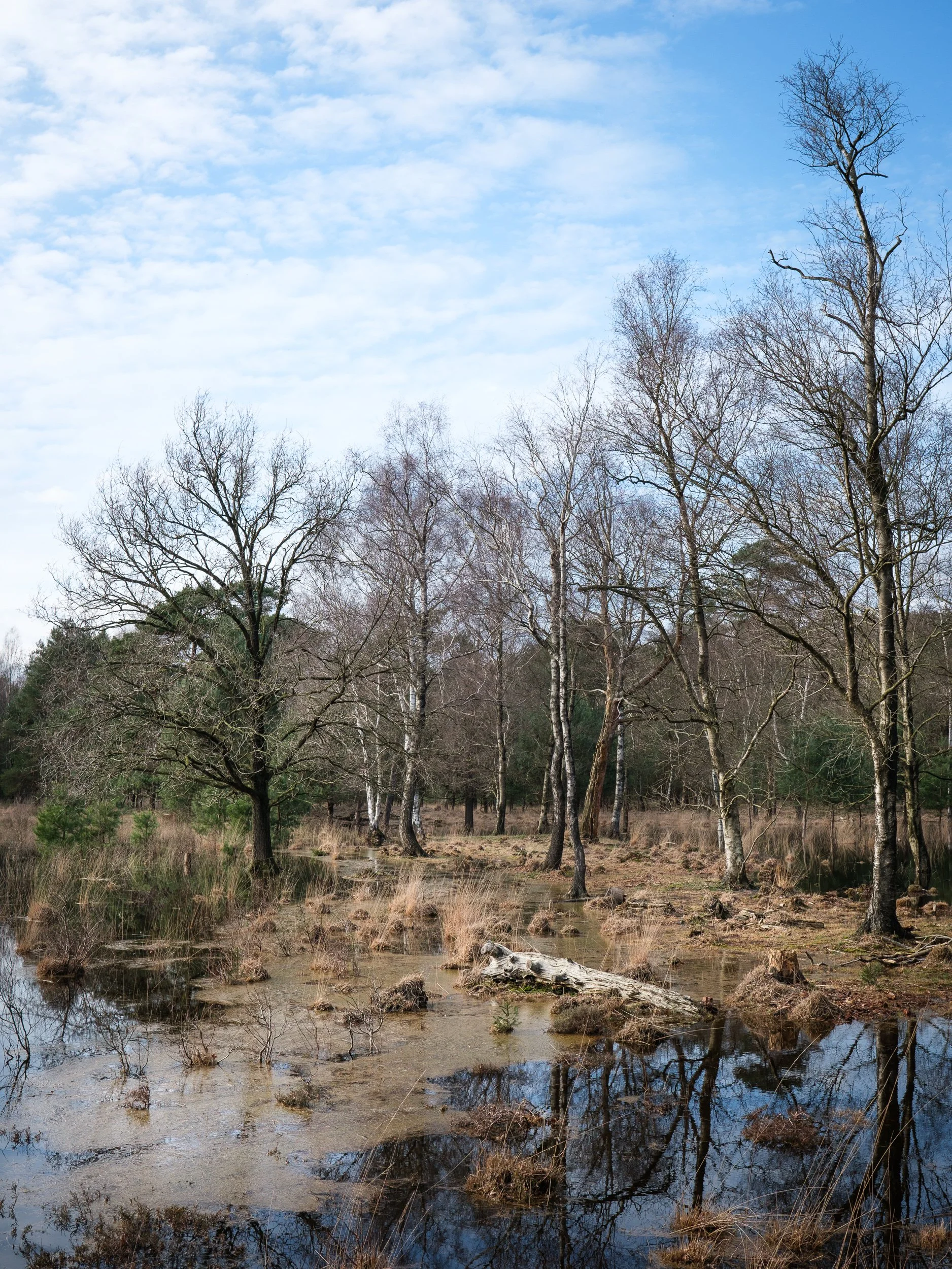March, Leersumse Plassen, Utrecht, NL