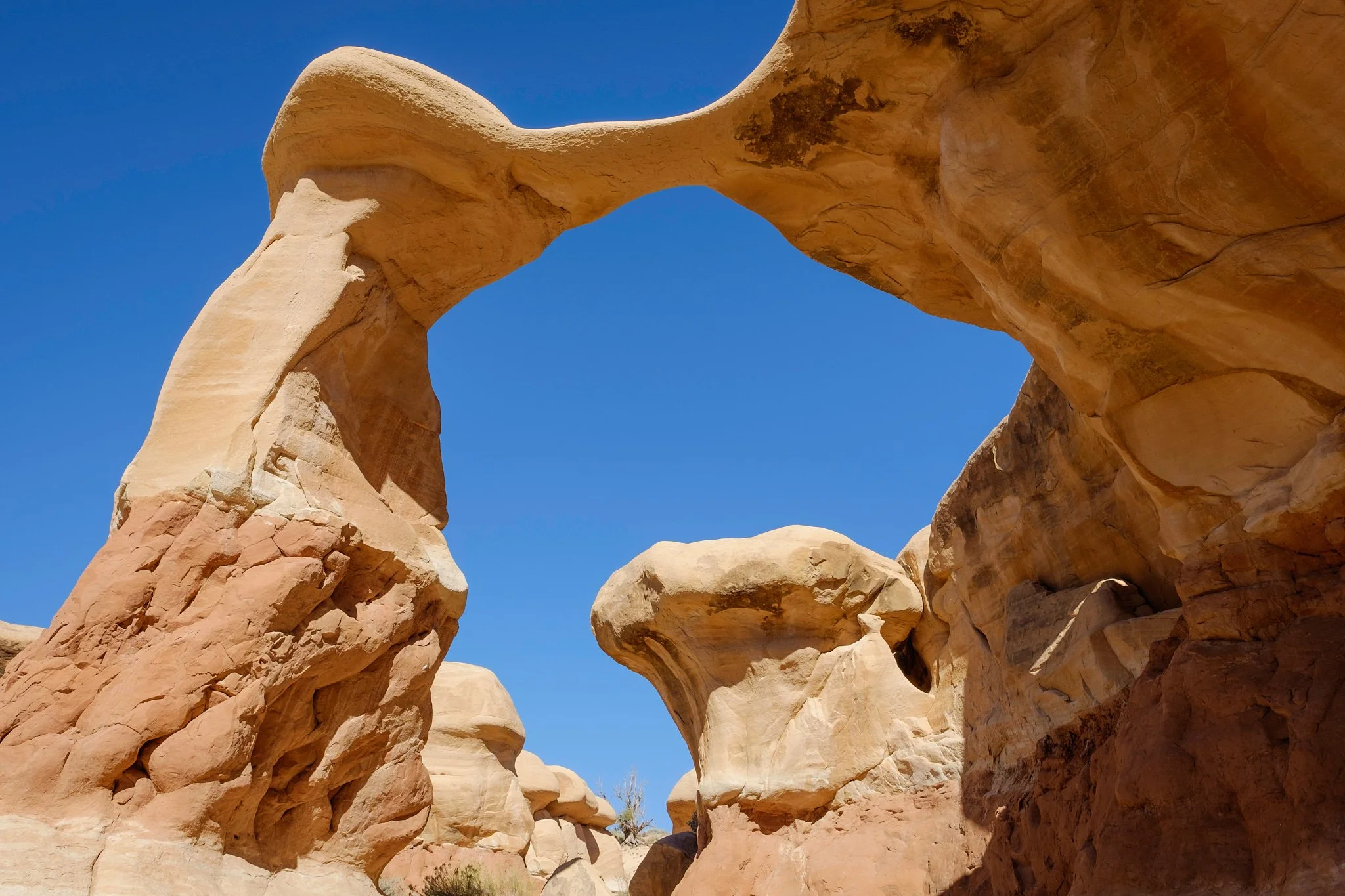 Utah 2015-29-20151013_Utah2015-Day_3-Escalante_0144.jpg