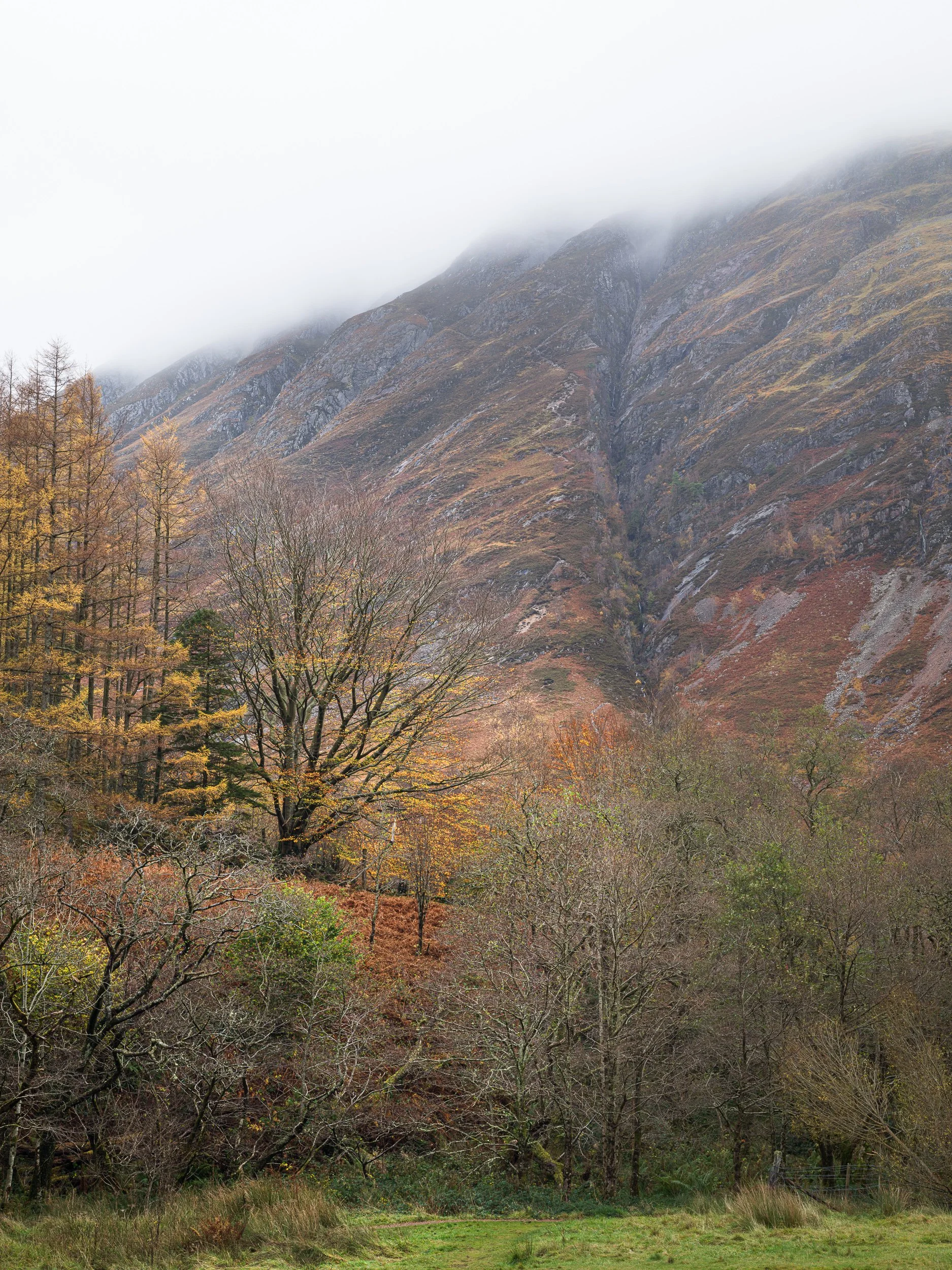 20241102-094154-HasselbladX2D 100C_Blog.jpg