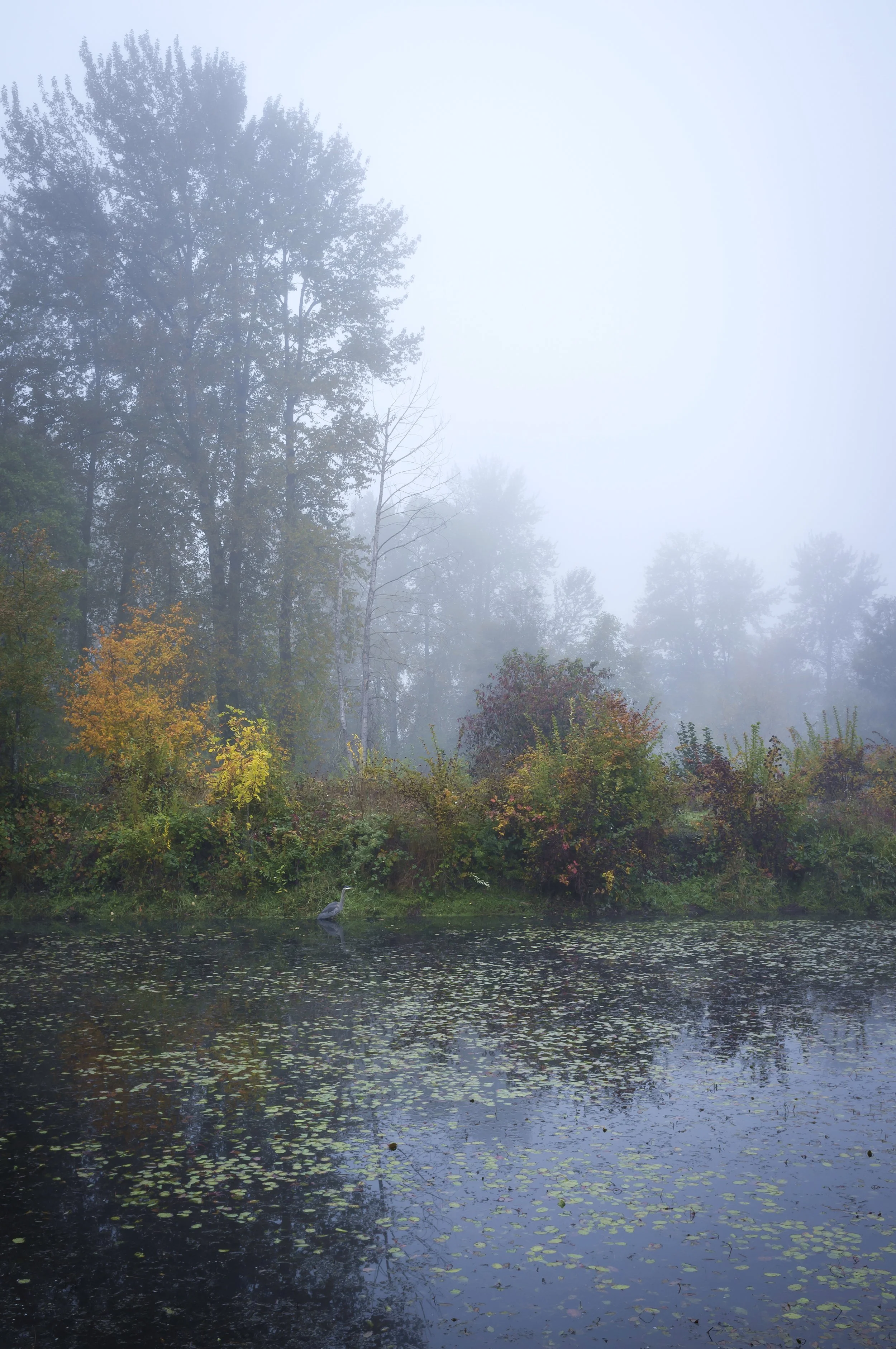 2013 Portfolio-2013 - -187-20131020_DeltaPonds_Eugene_Oregon_0015.jpg