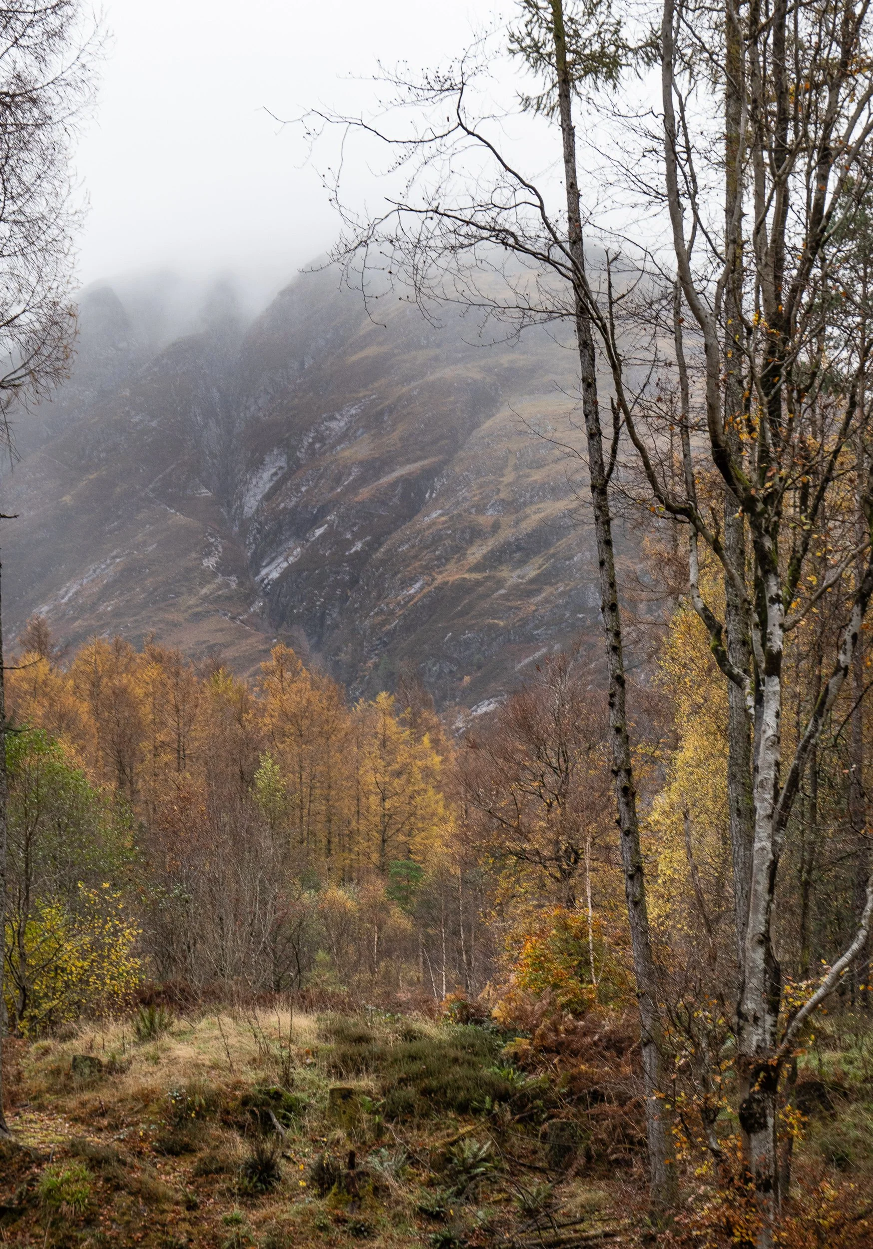 November, Glencoe, Scotland