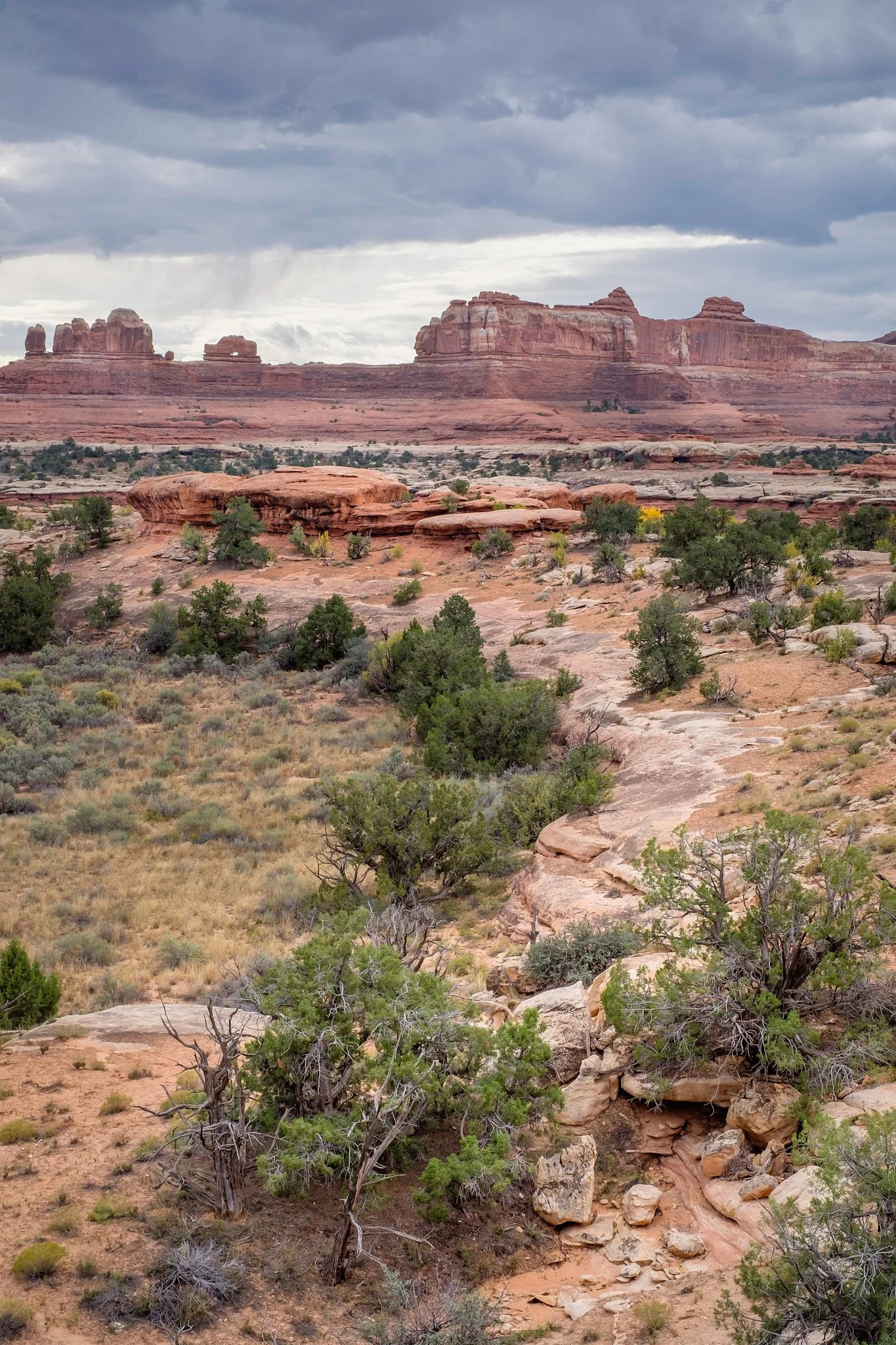 Utah 2015-126-20151017_Utah_2015_0174-HDR.jpg