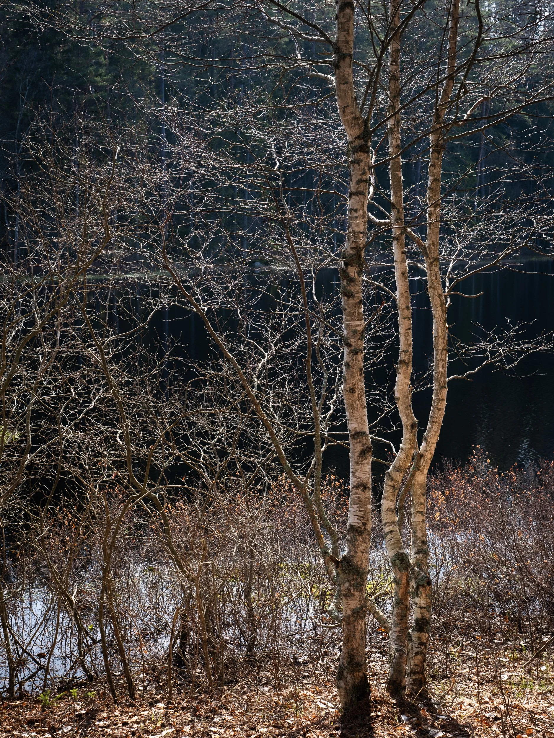 20240428-152201-Fujifilm-X-T5_Blog.jpg