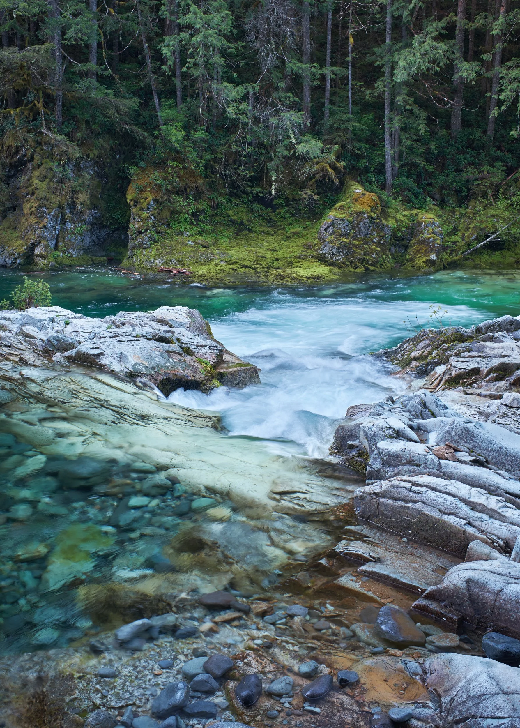2018-05-12_06-16-59_OpalCreek 1.jpg