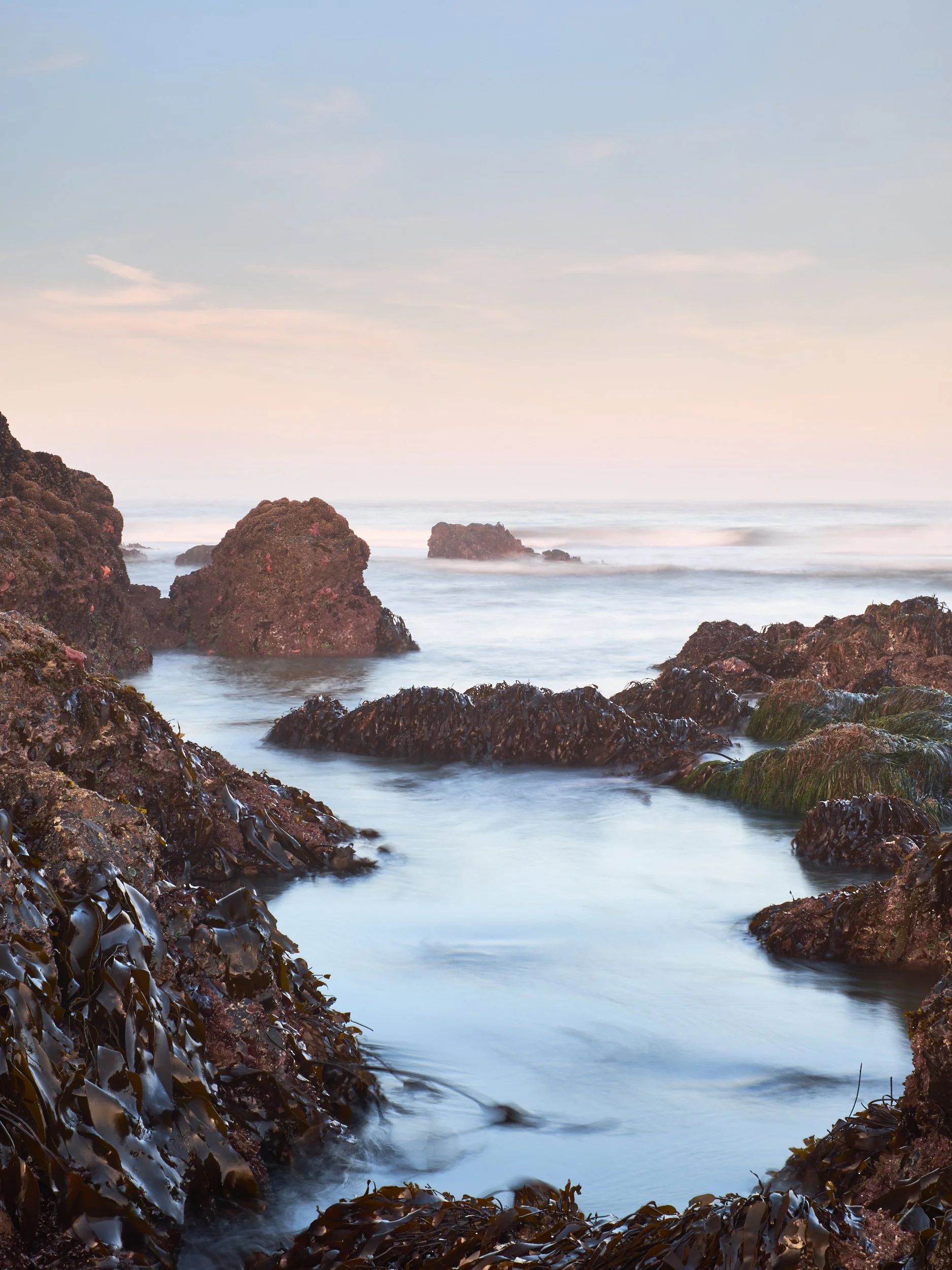 2015-07-16_06-27-45_SealRock.jpg