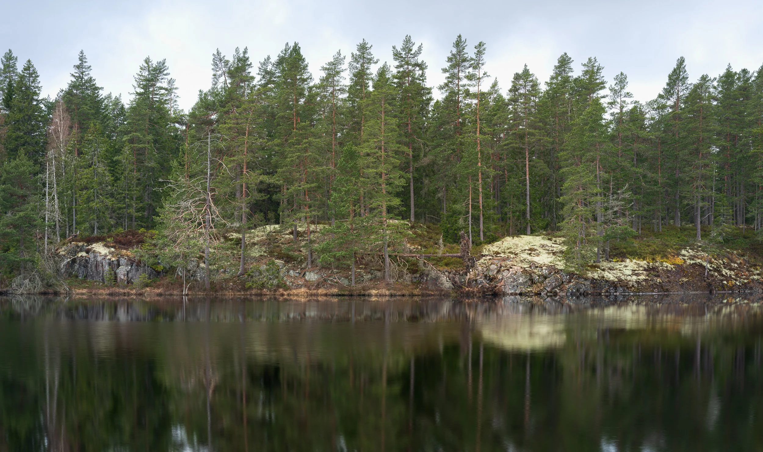 April, near Tiveden NP, Sweden