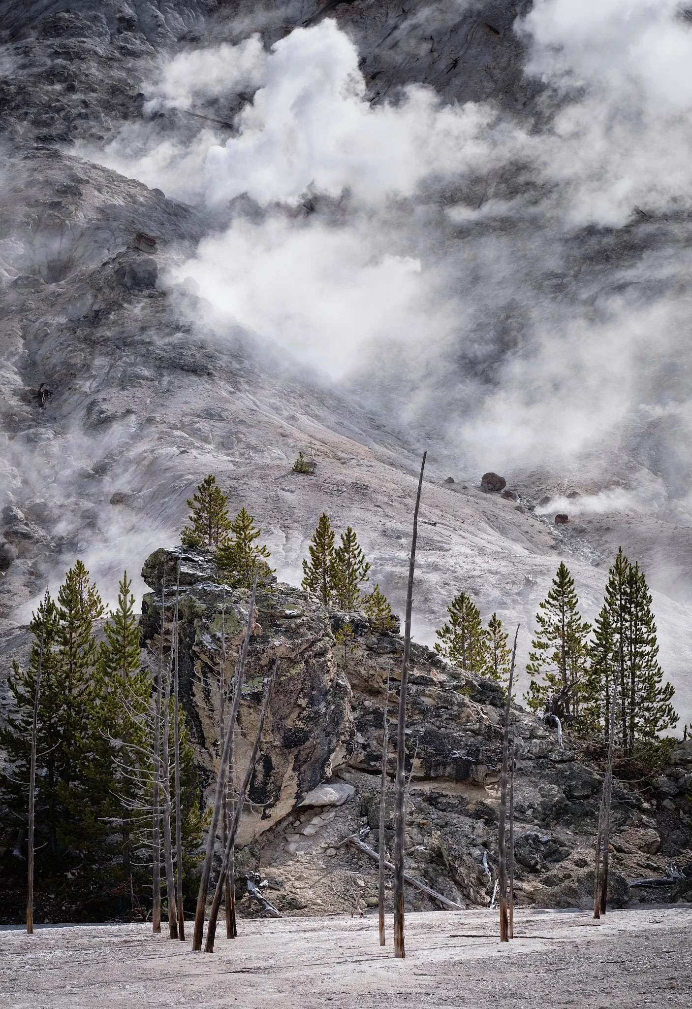 2017 - -67-20171002_Yellowstone_0399-IridientEdit.jpg