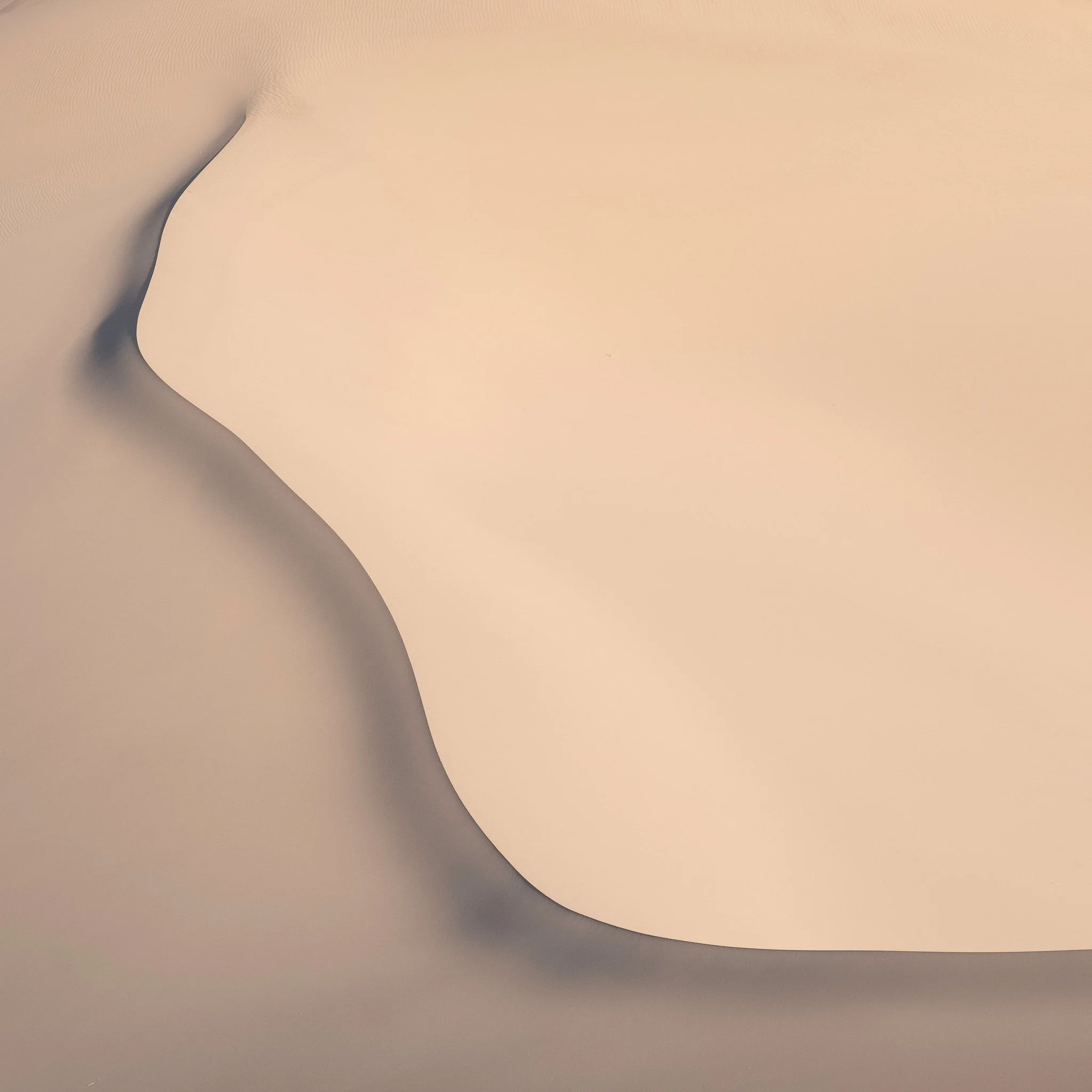 4 Star-604-20181222_Death Valley 2018_0724-IridientEdit.jpg