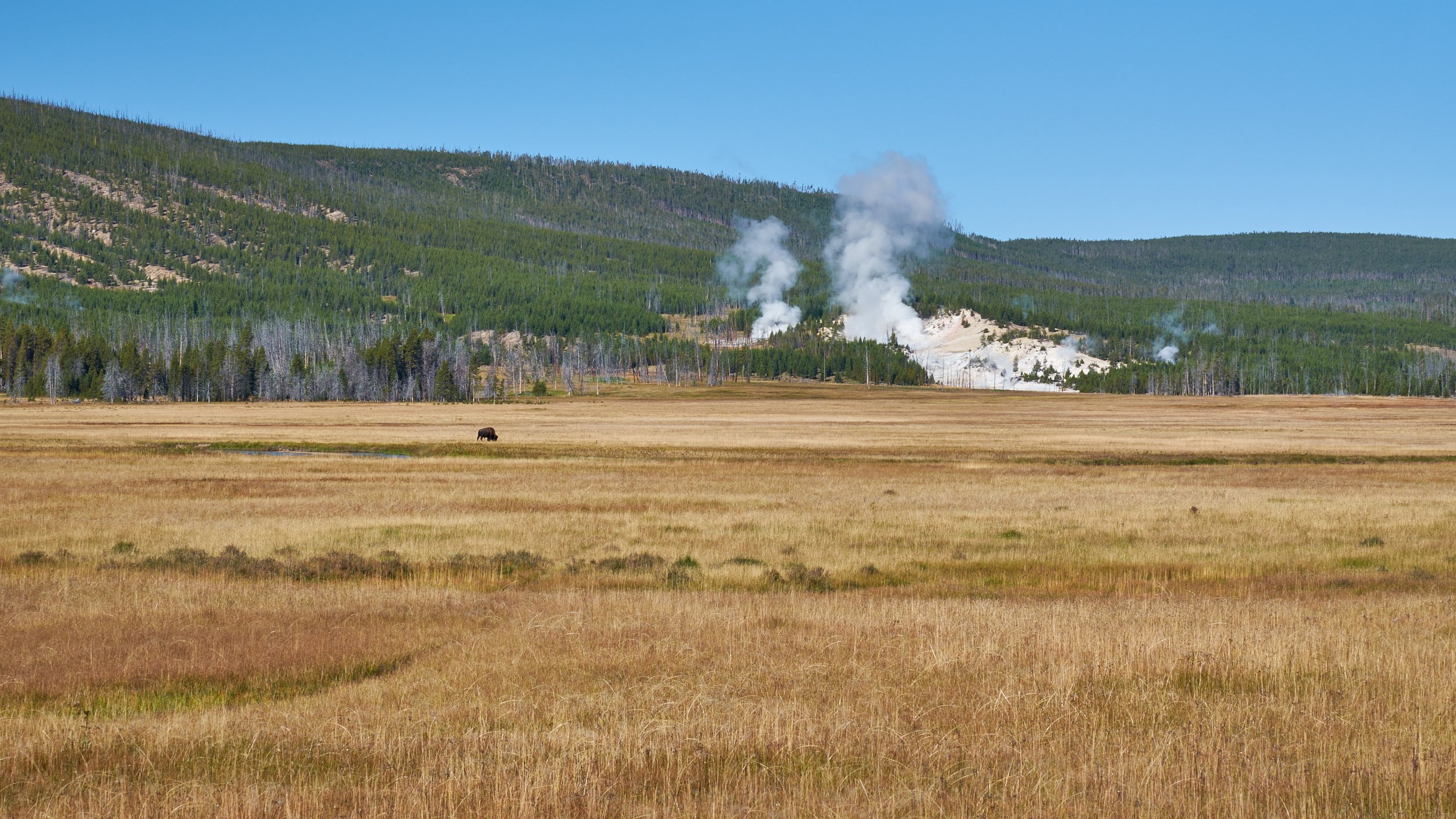 2014-09-06_09-27-41_Yellowstone.jpg