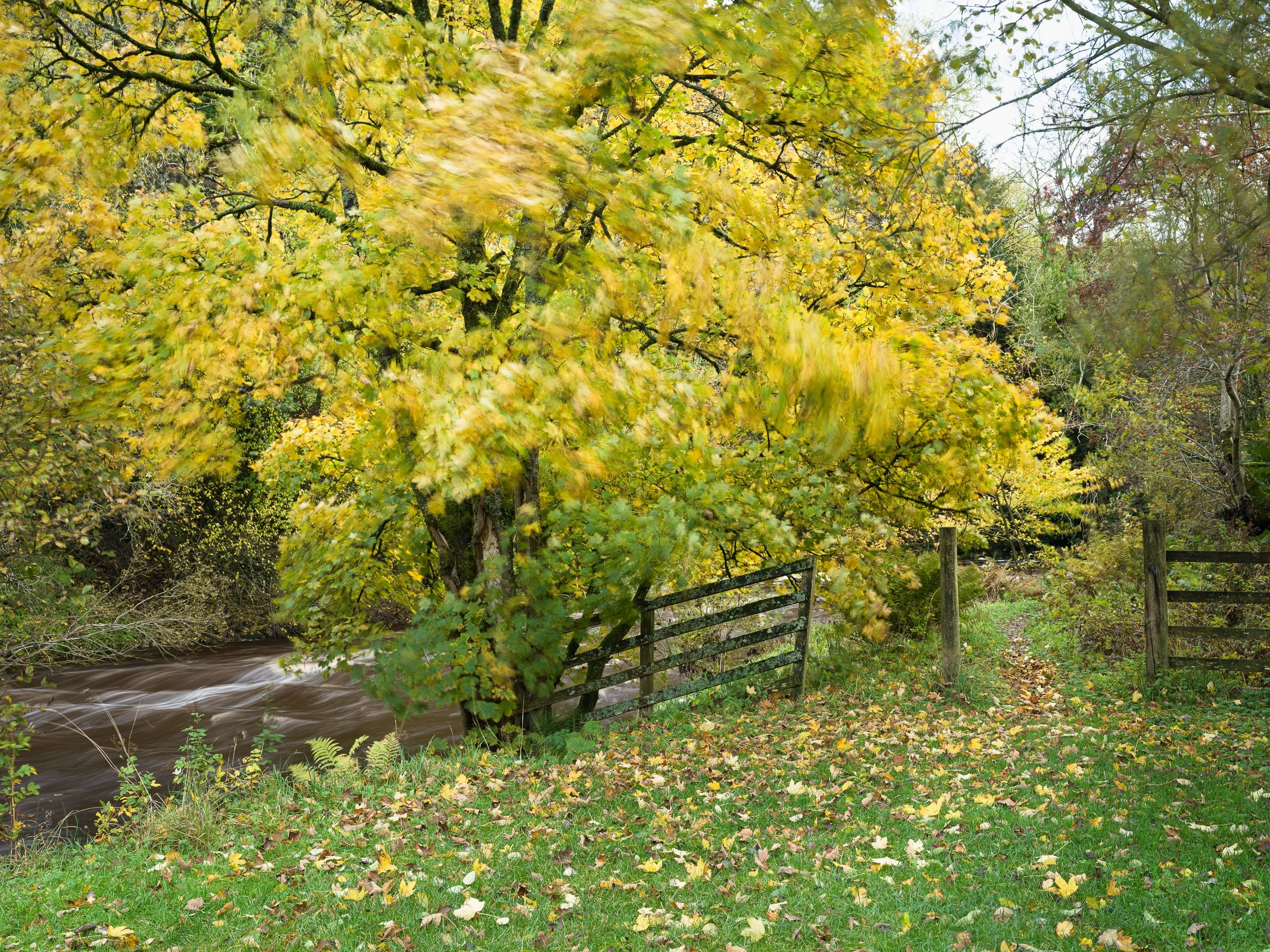 20241020-152047-HasselbladX2D 100C_Blog.jpg