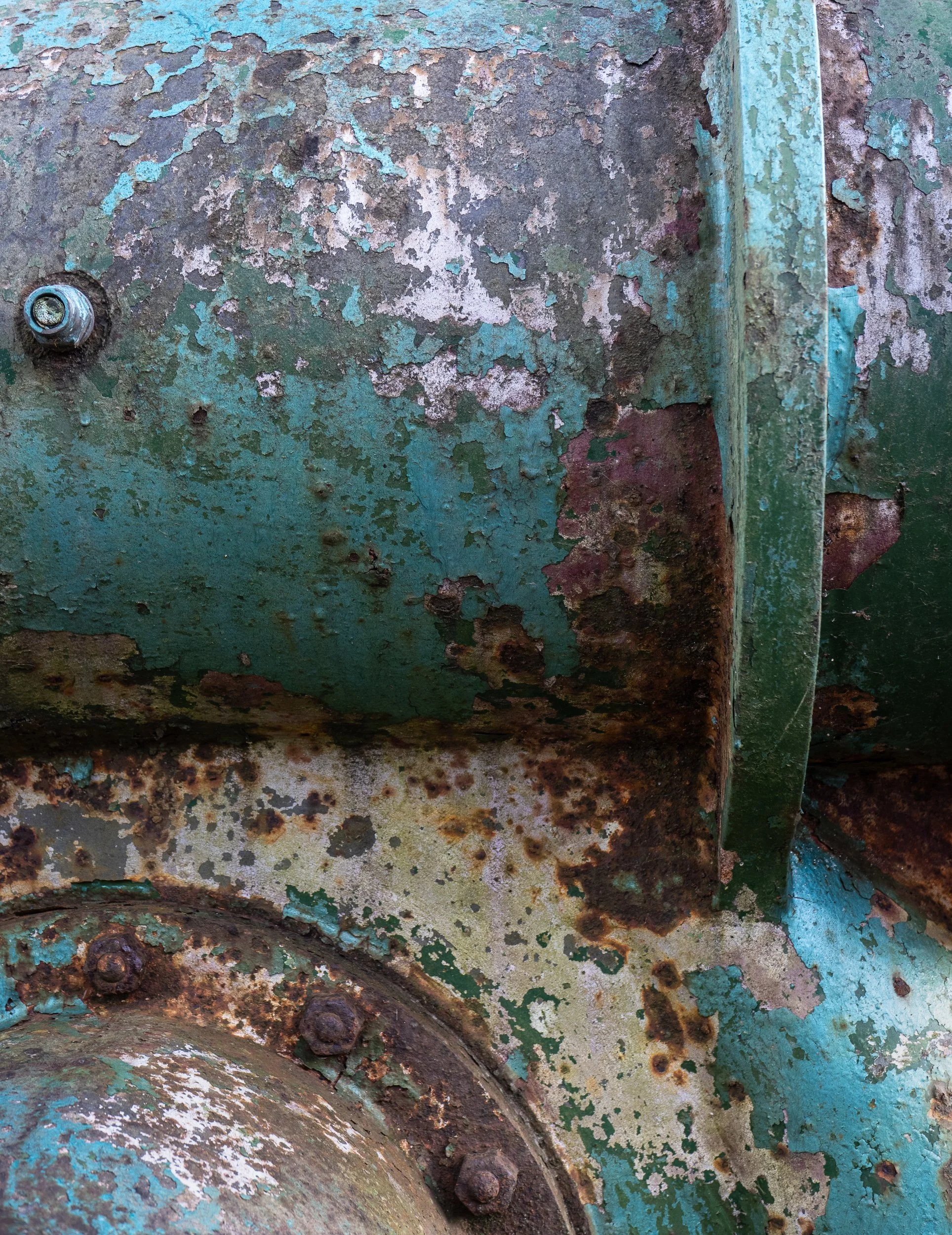 20241108-151918-LeicaLEICA D-Lux 8_Blog.jpg