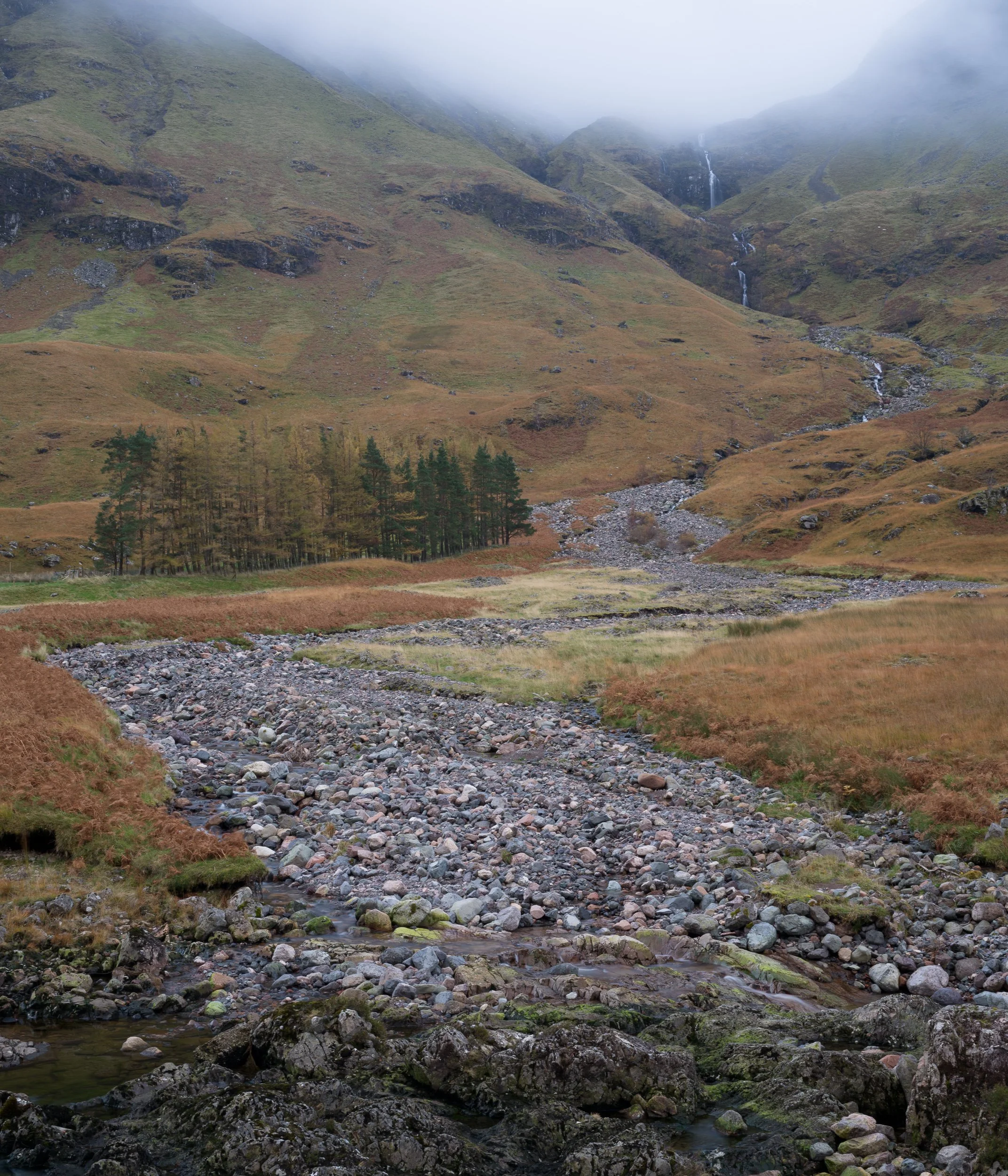 20241030-162212-HasselbladX2D 100C_Blog.jpg