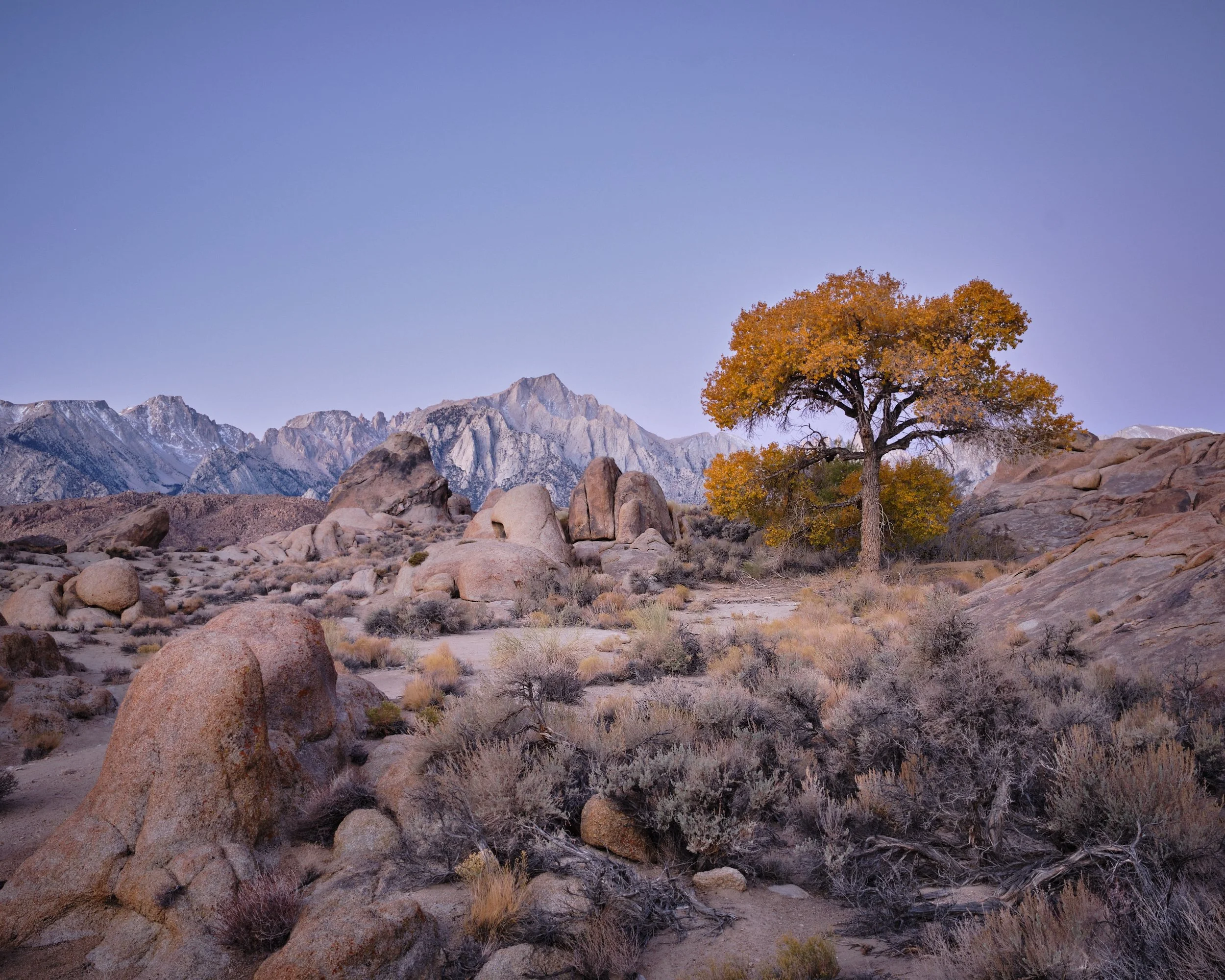 2016 Alabama Hills, California
