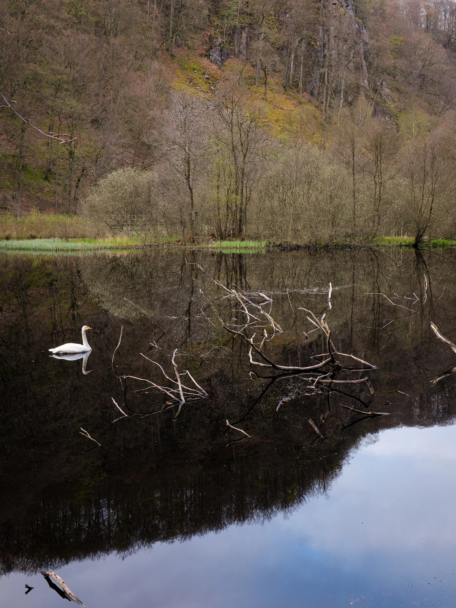 April, Söderåsen NP, Sweden
