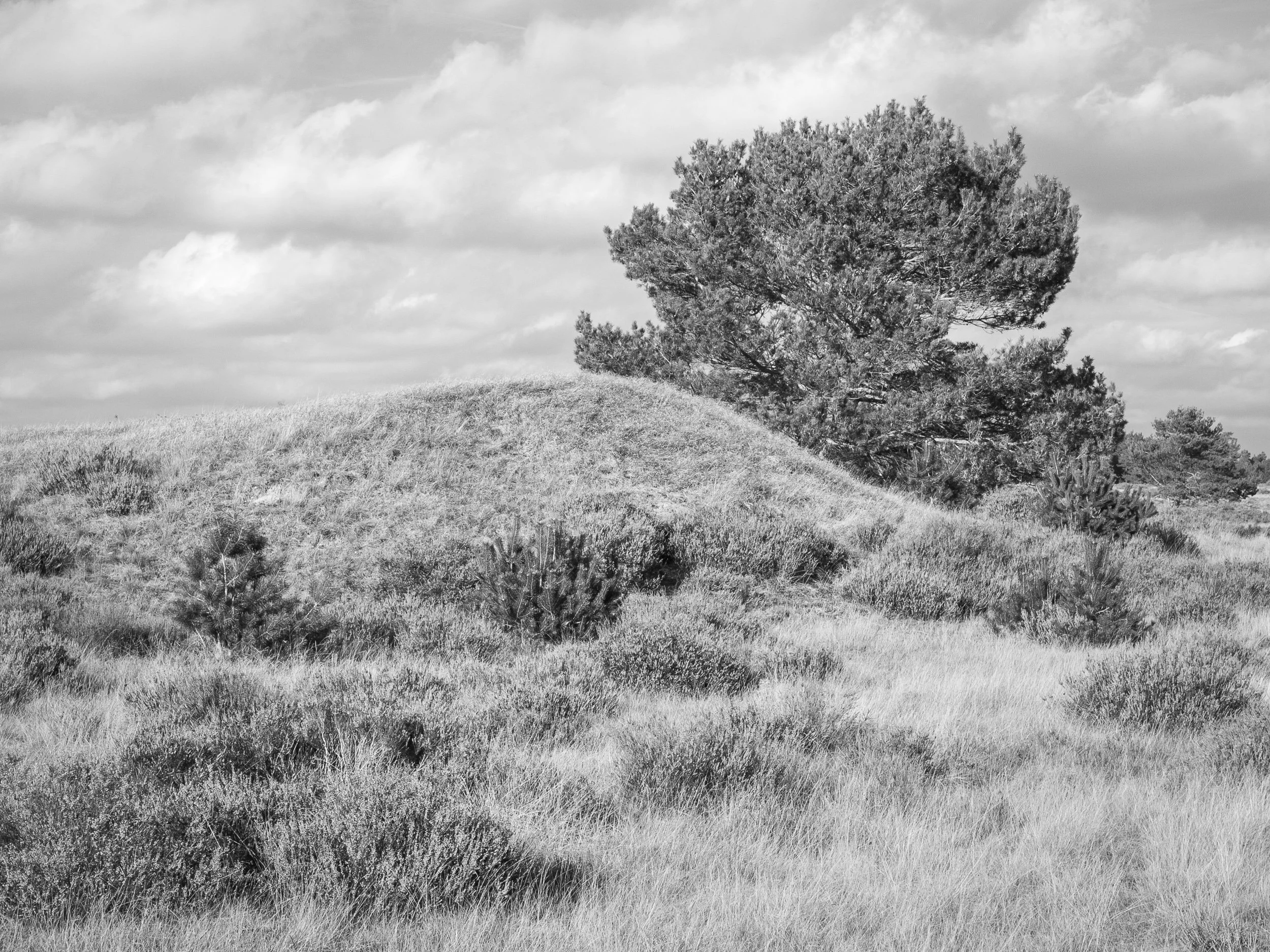 04 20221026-133853-LeicaLEICA Q2 MONO_Blog.jpg
