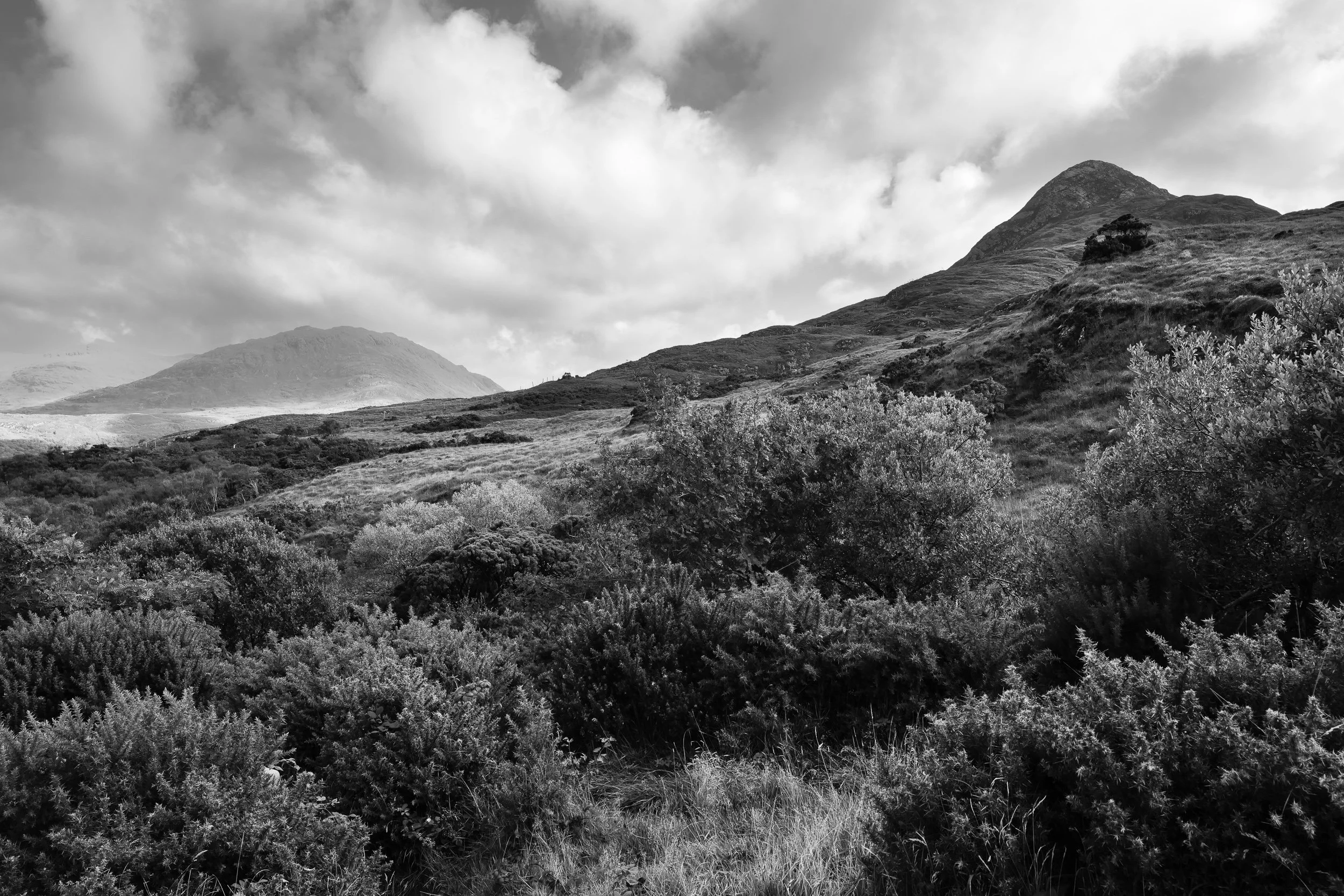 20240911-133808-LeicaLEICA Q2 MONO_Blog.jpg