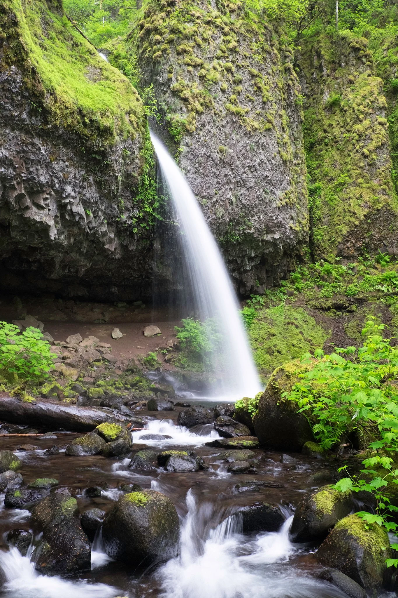 2015 - -245-20150523_Columbia_Gorge_0016.jpg