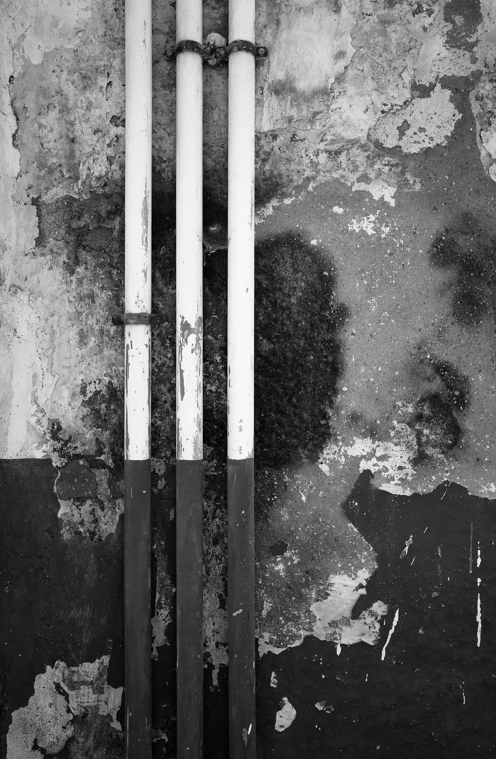 20220508-123306-LeicaLEICA Q2 MONO-Masters_Blog.jpg