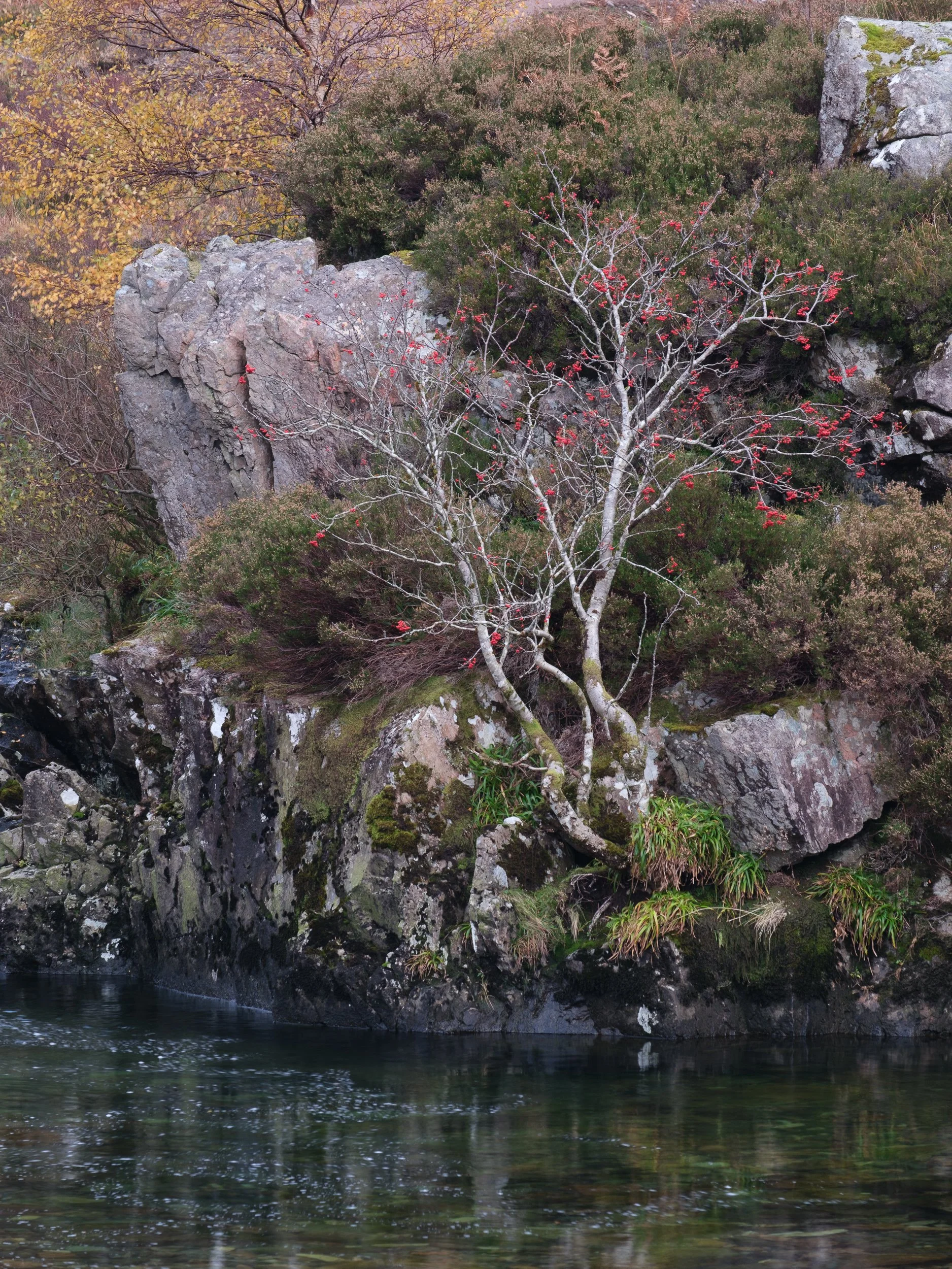 October, Glencoe, Scotland
