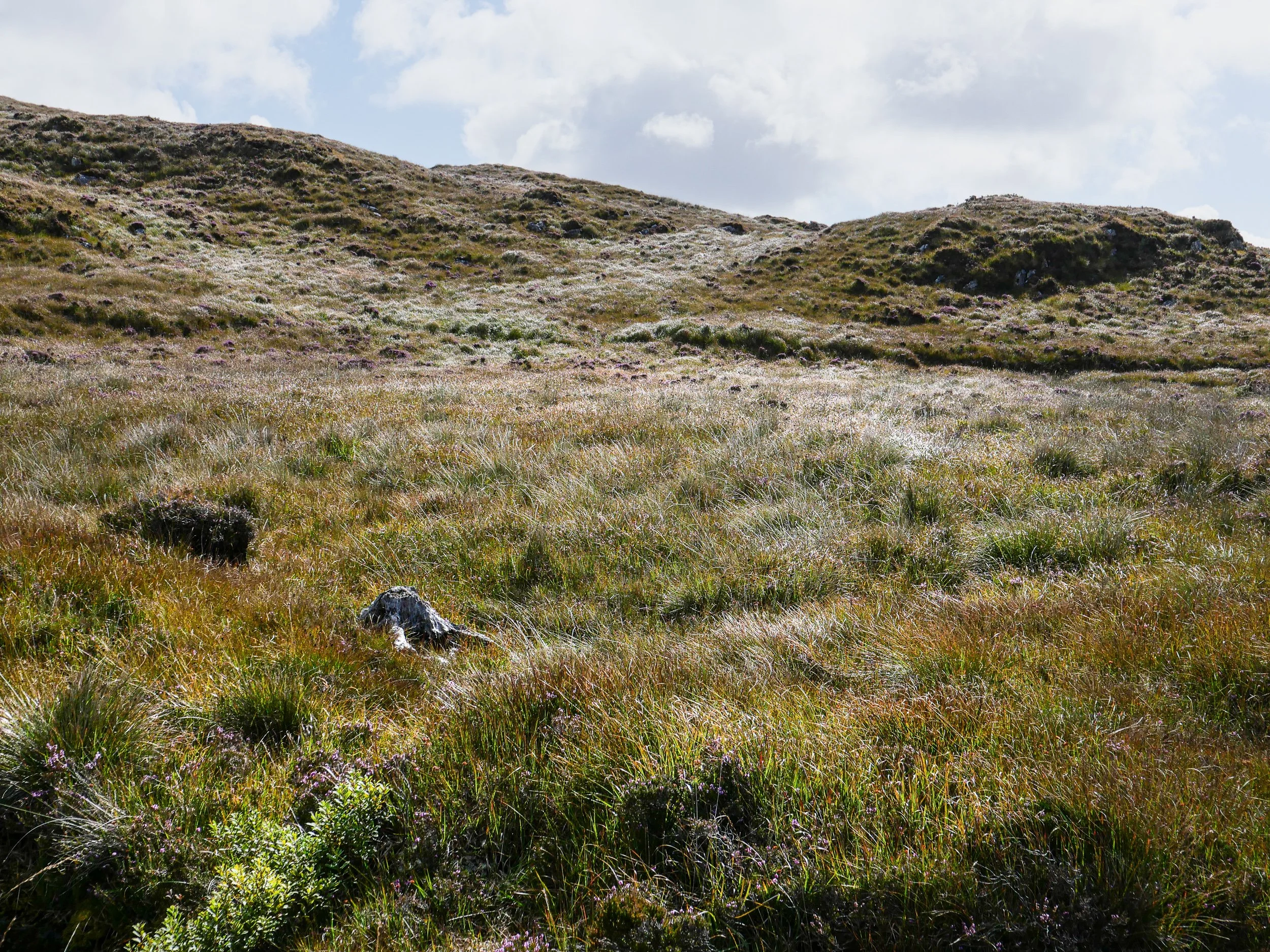 20240911-135605-LeicaLEICA D-Lux 8_Blog.jpg