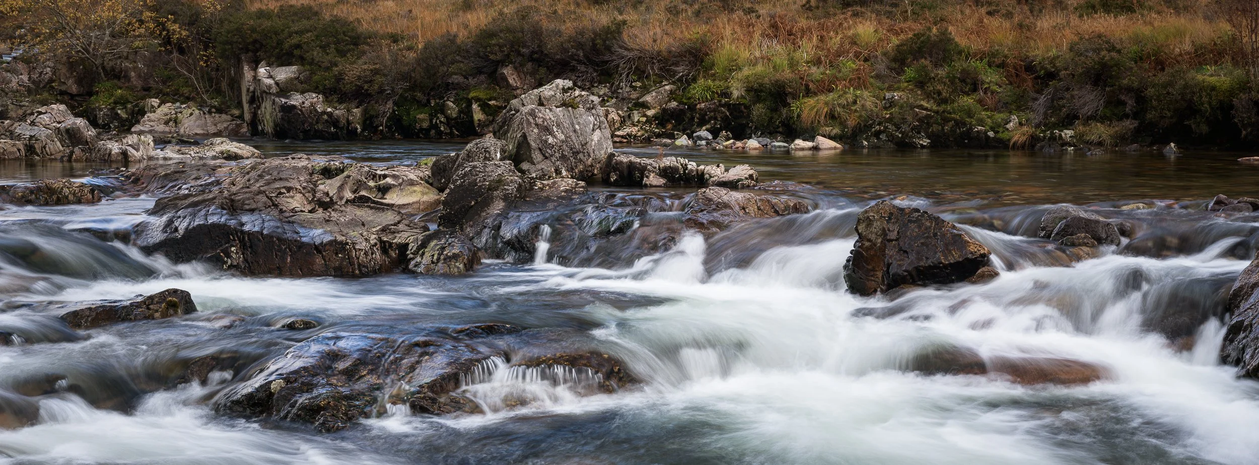 20241030-145031-HasselbladX2D 100C_Blog.jpg