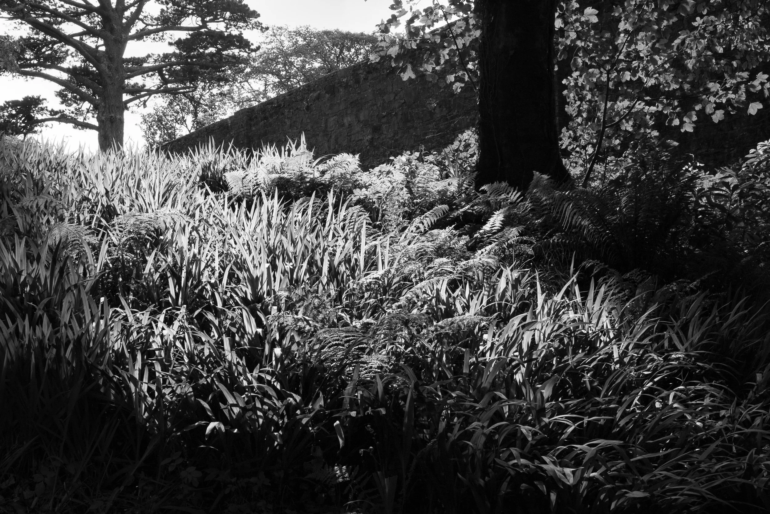 20240911-161641-LeicaLEICA Q2 MONO_Blog.jpg