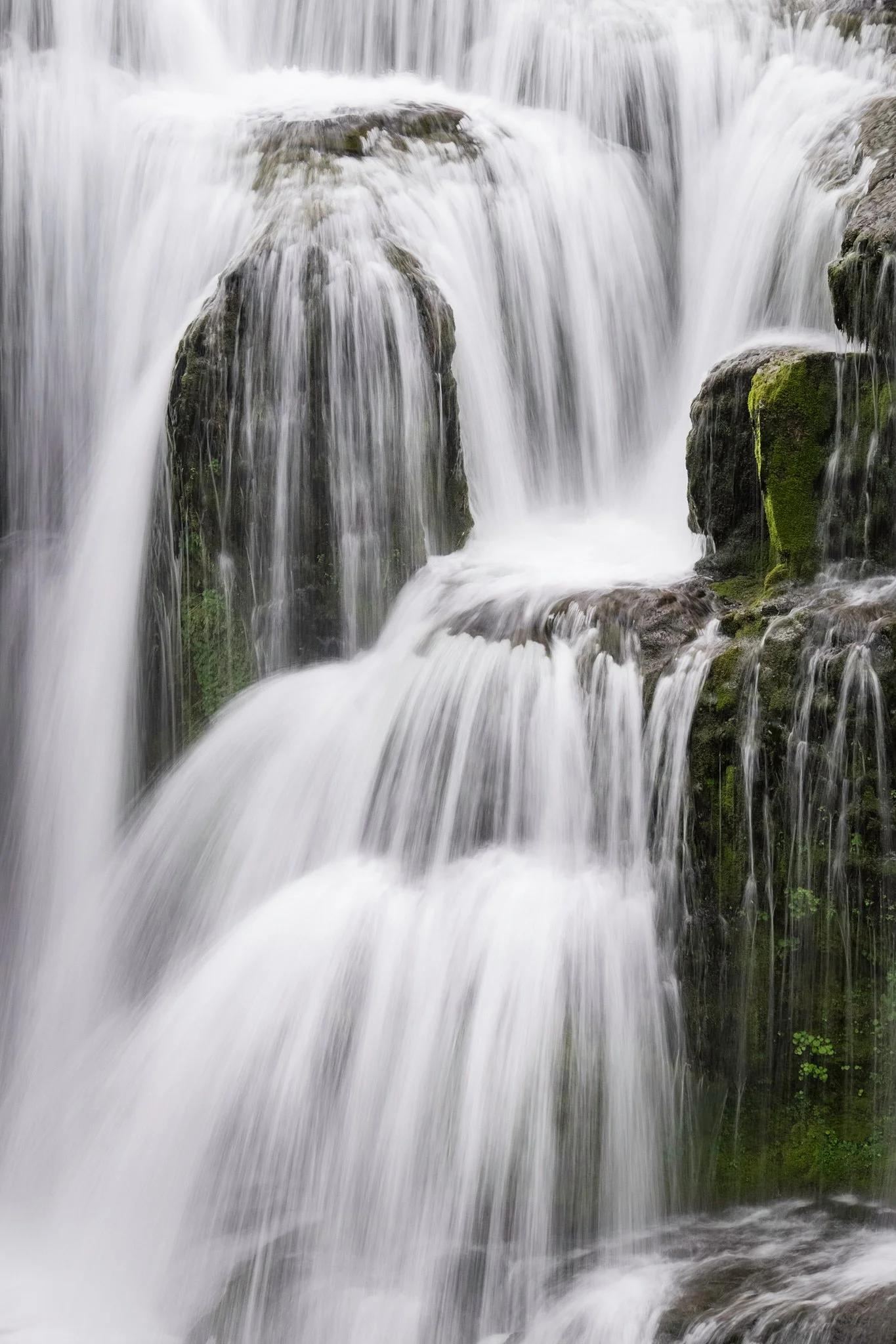 2015 - -228-20150522_Gifford_Pinchot_NF_0082.jpg