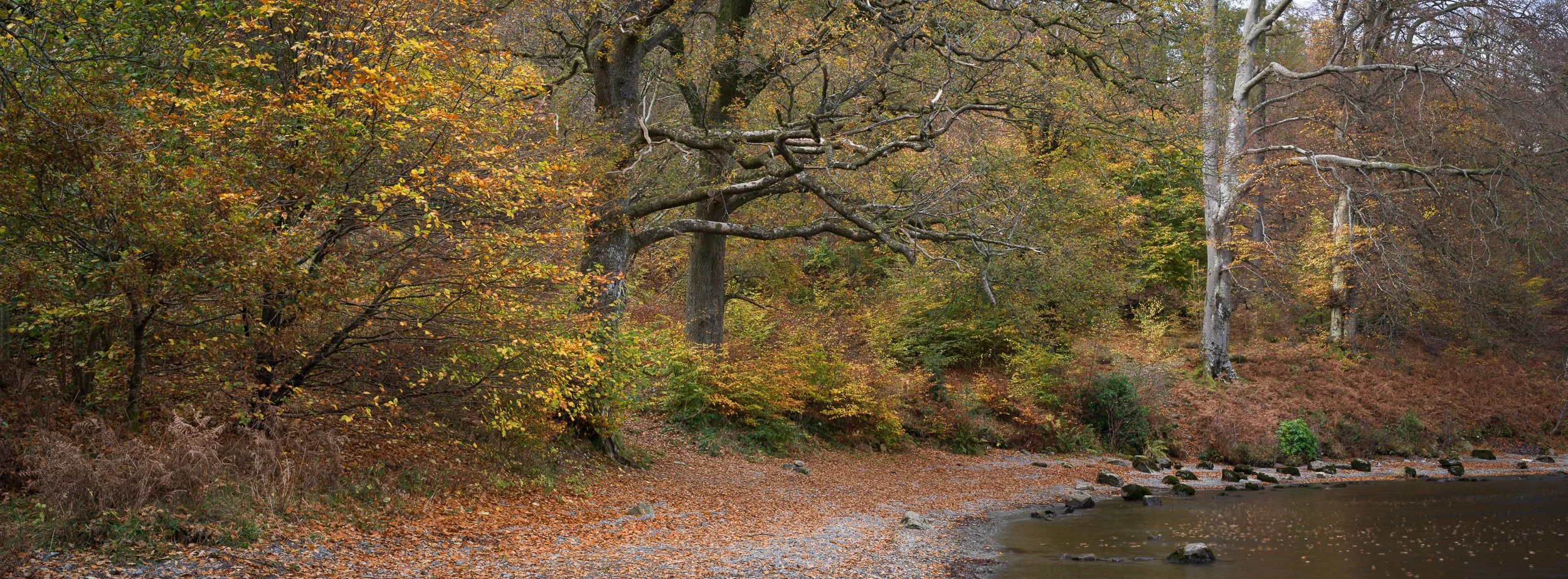November, Lake District, England