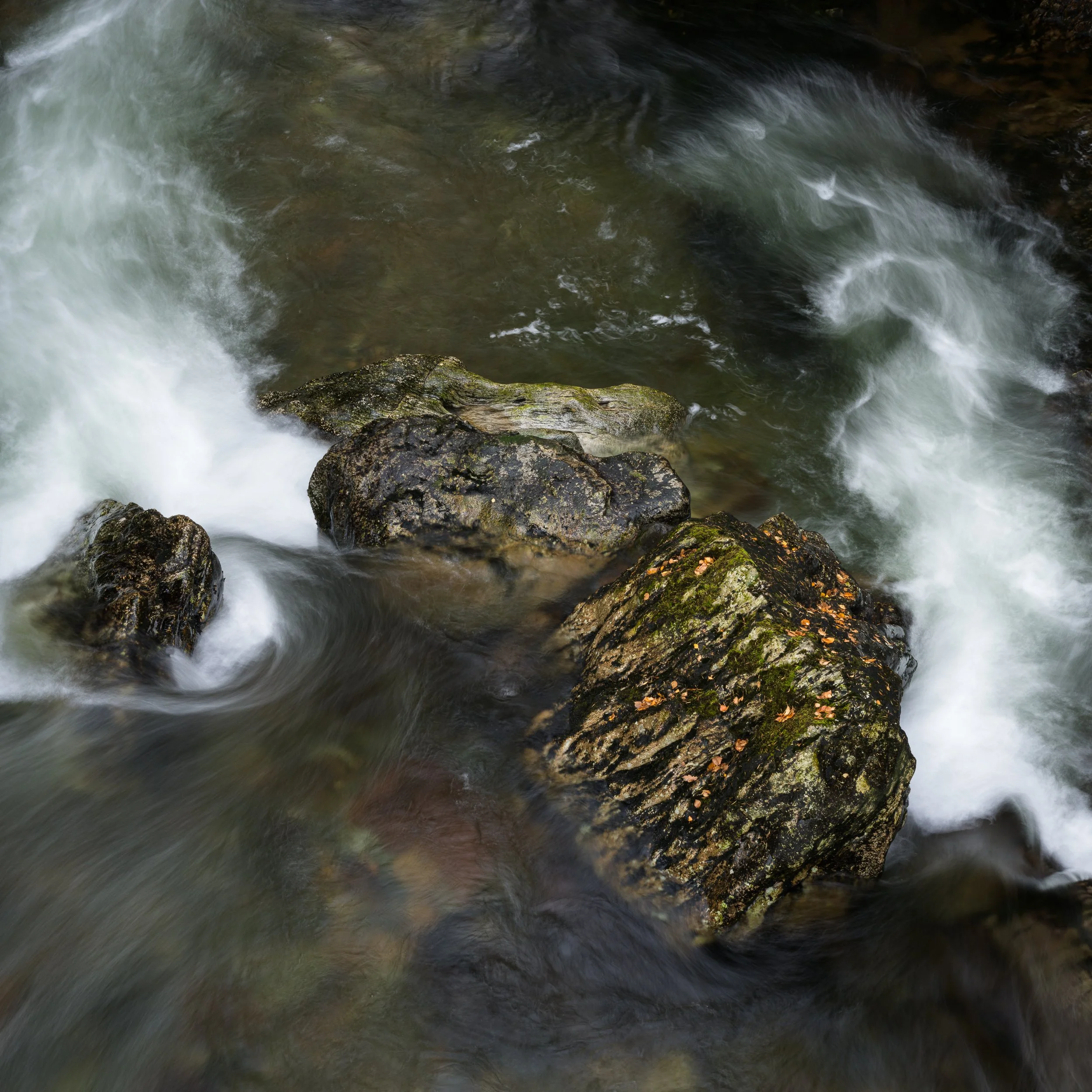 20241102-115556-HasselbladX2D 100C_Blog.jpg